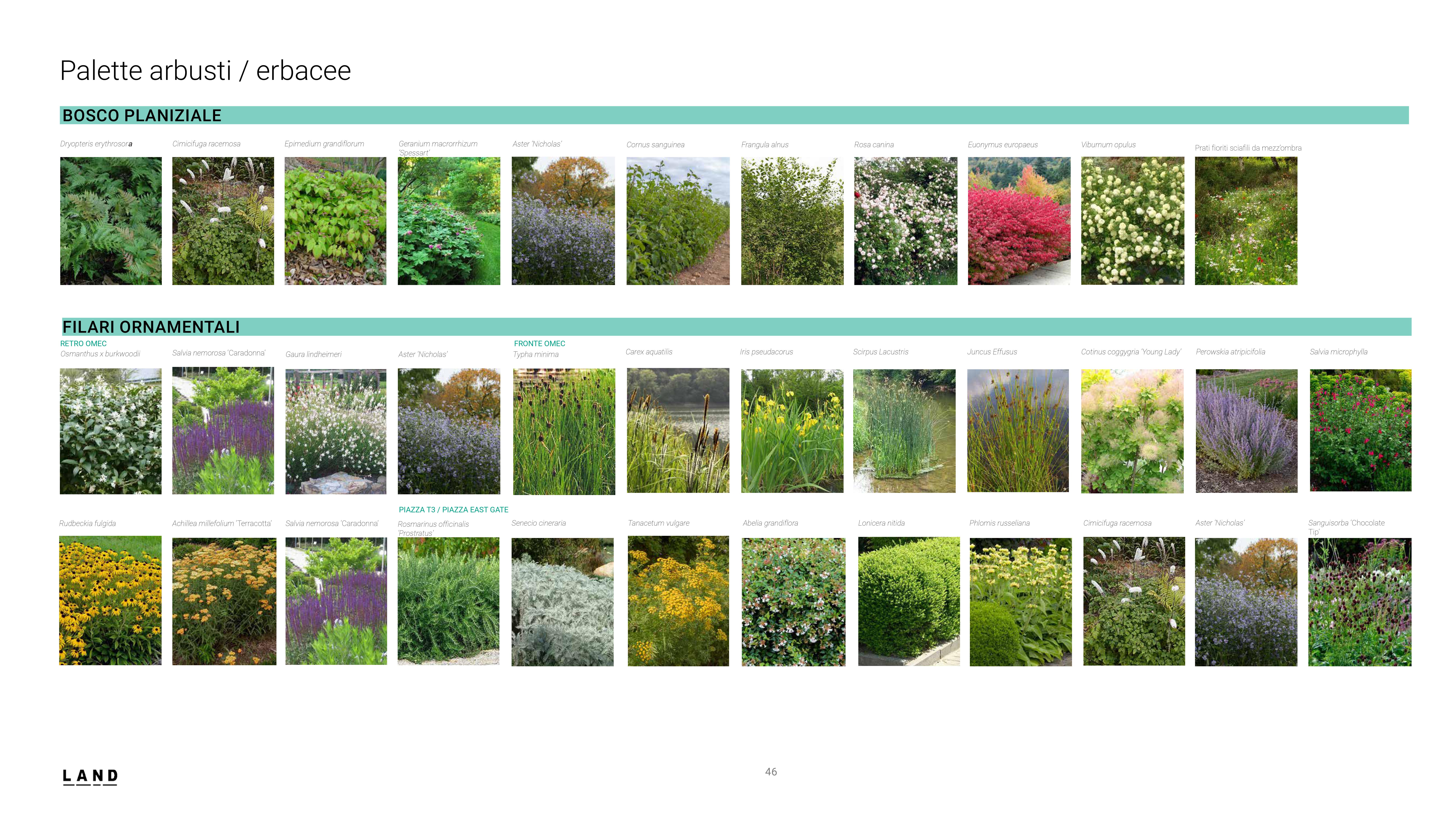 immagine di galleria