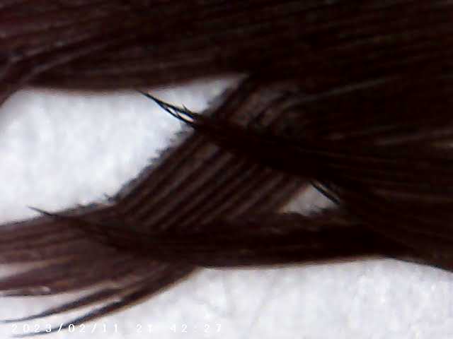 immagine di galleria