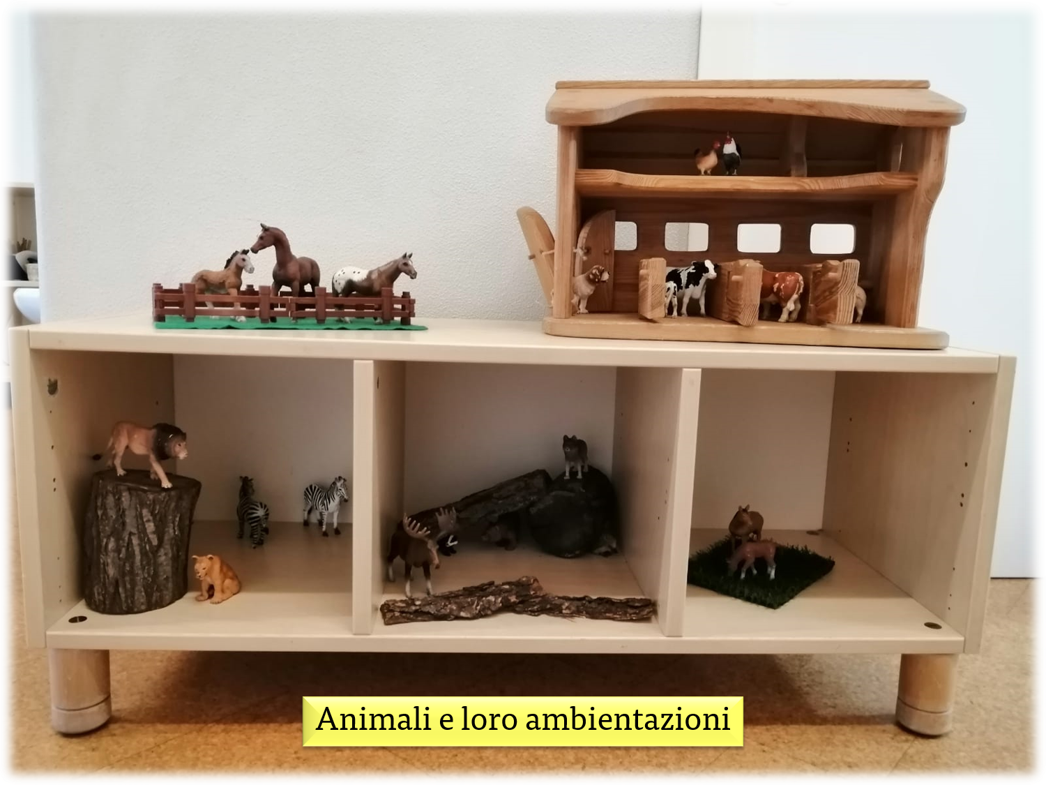 immagine di galleria