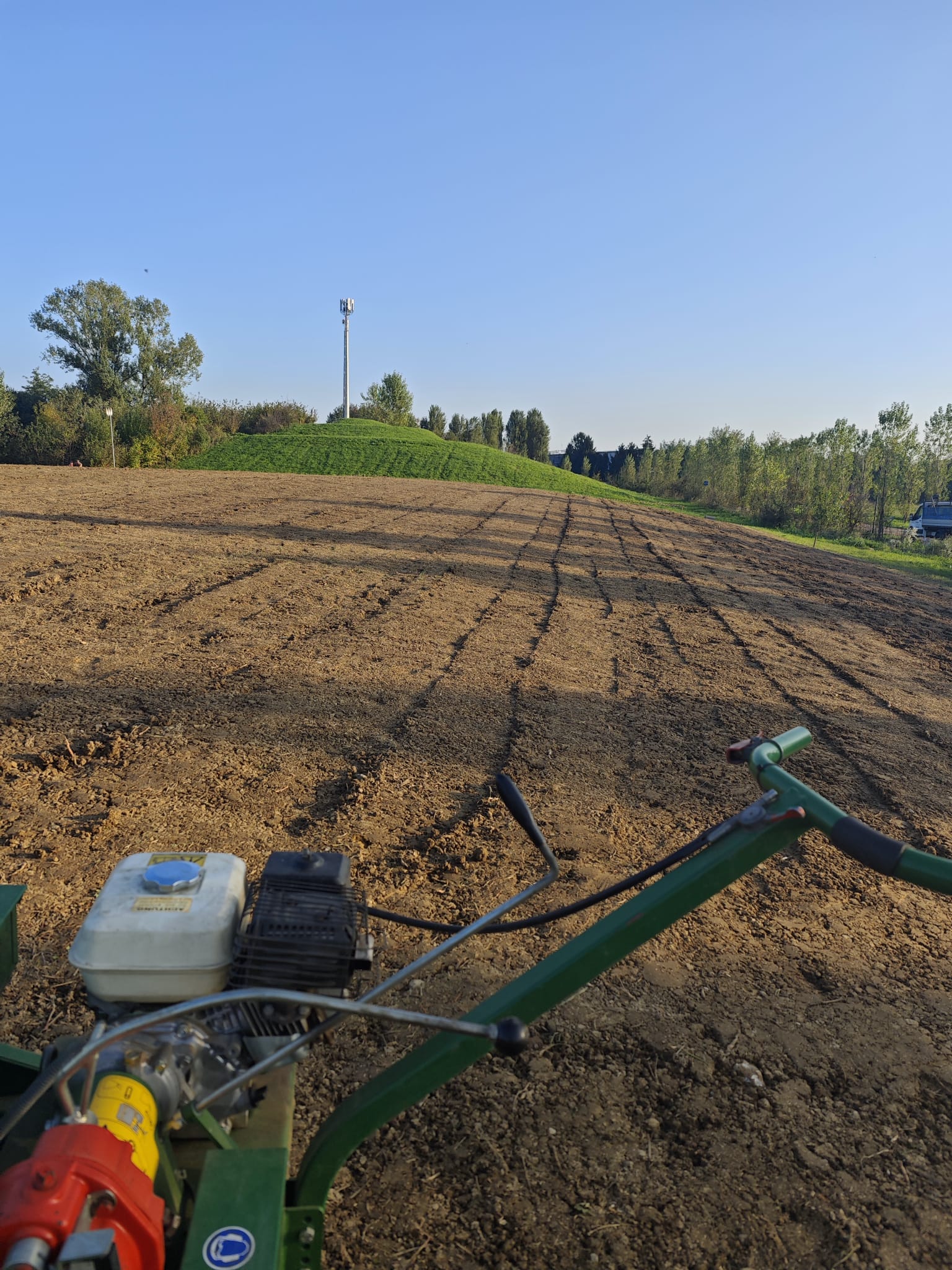 immagine di galleria