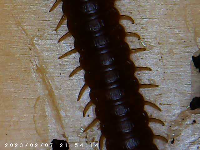 immagine di galleria