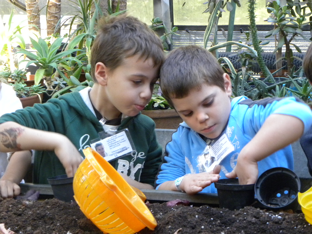 immagine di galleria