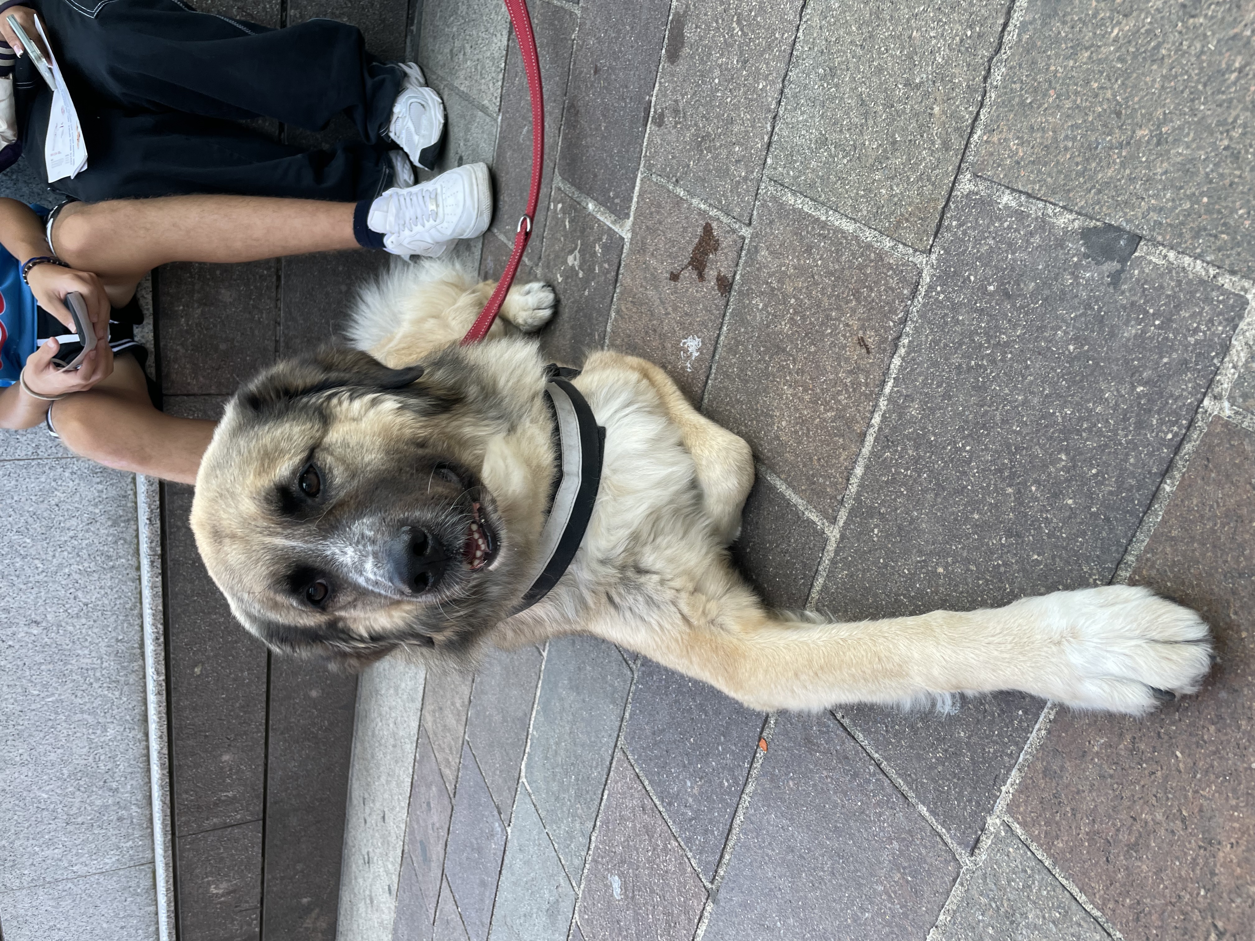 immagine di galleria