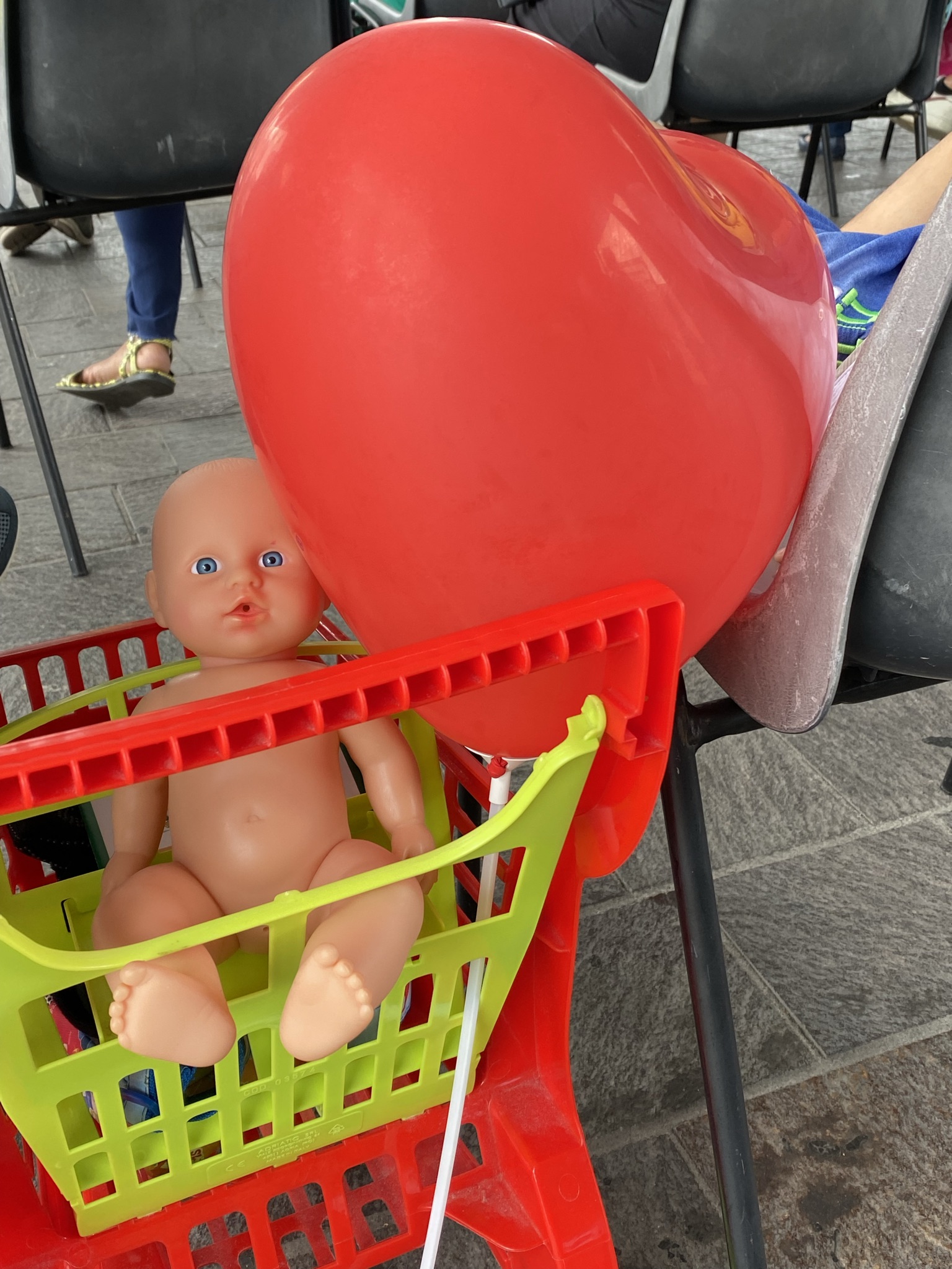 immagine di galleria