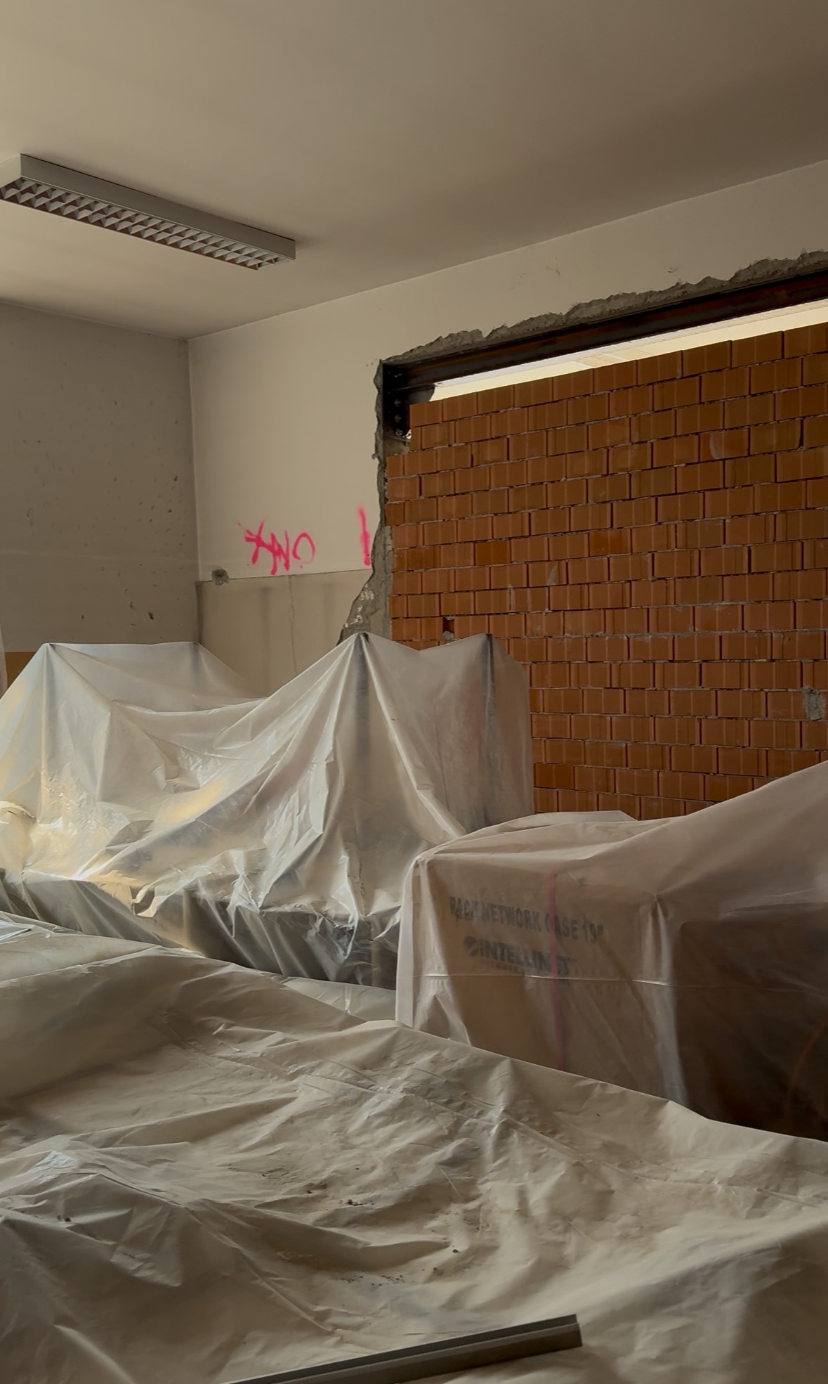 immagine di galleria