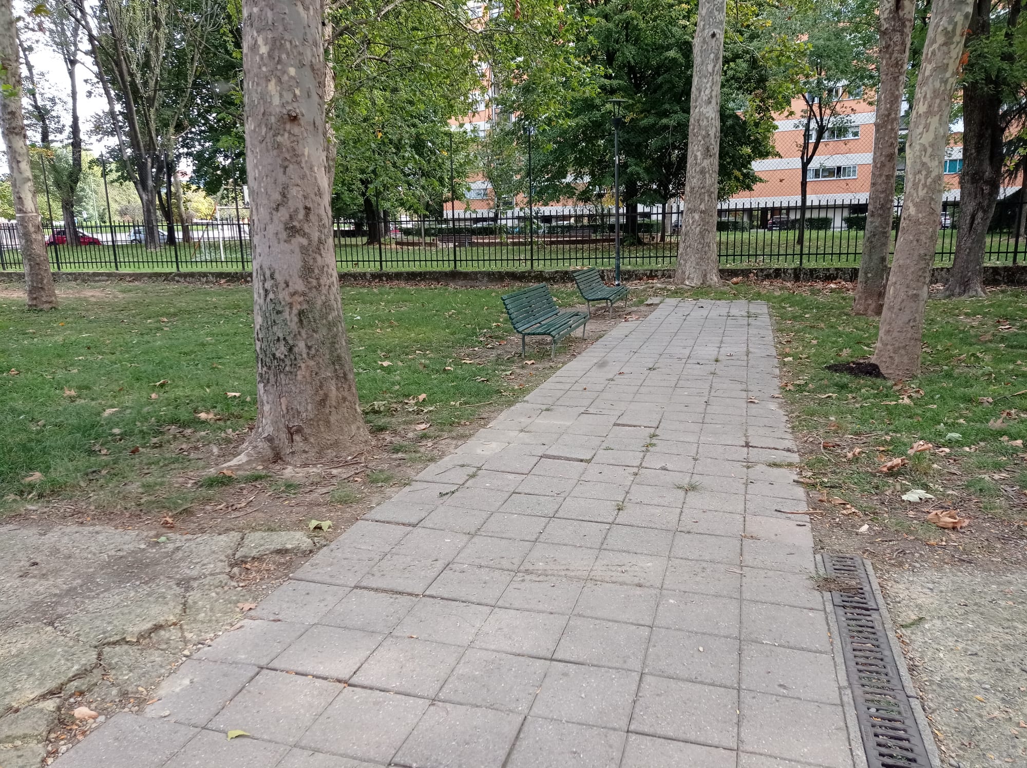 immagine di galleria