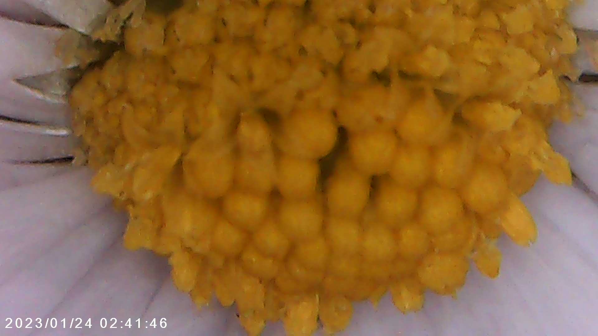 immagine di galleria