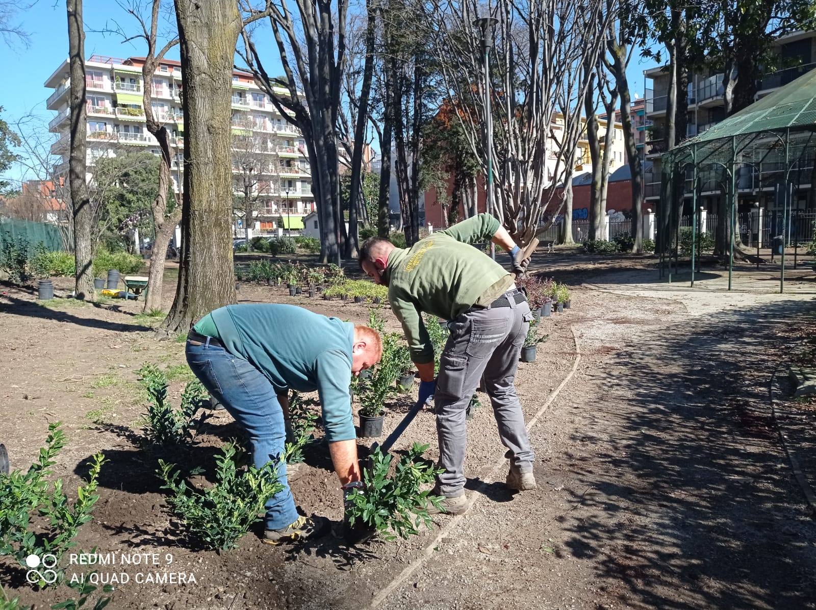 immagine di galleria