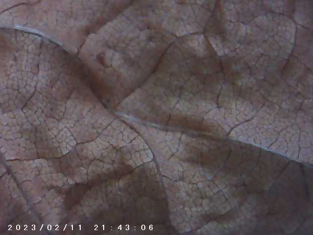 immagine di galleria