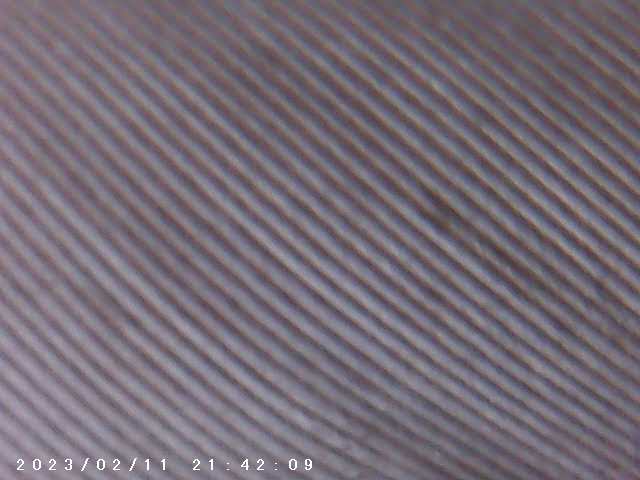 immagine di galleria