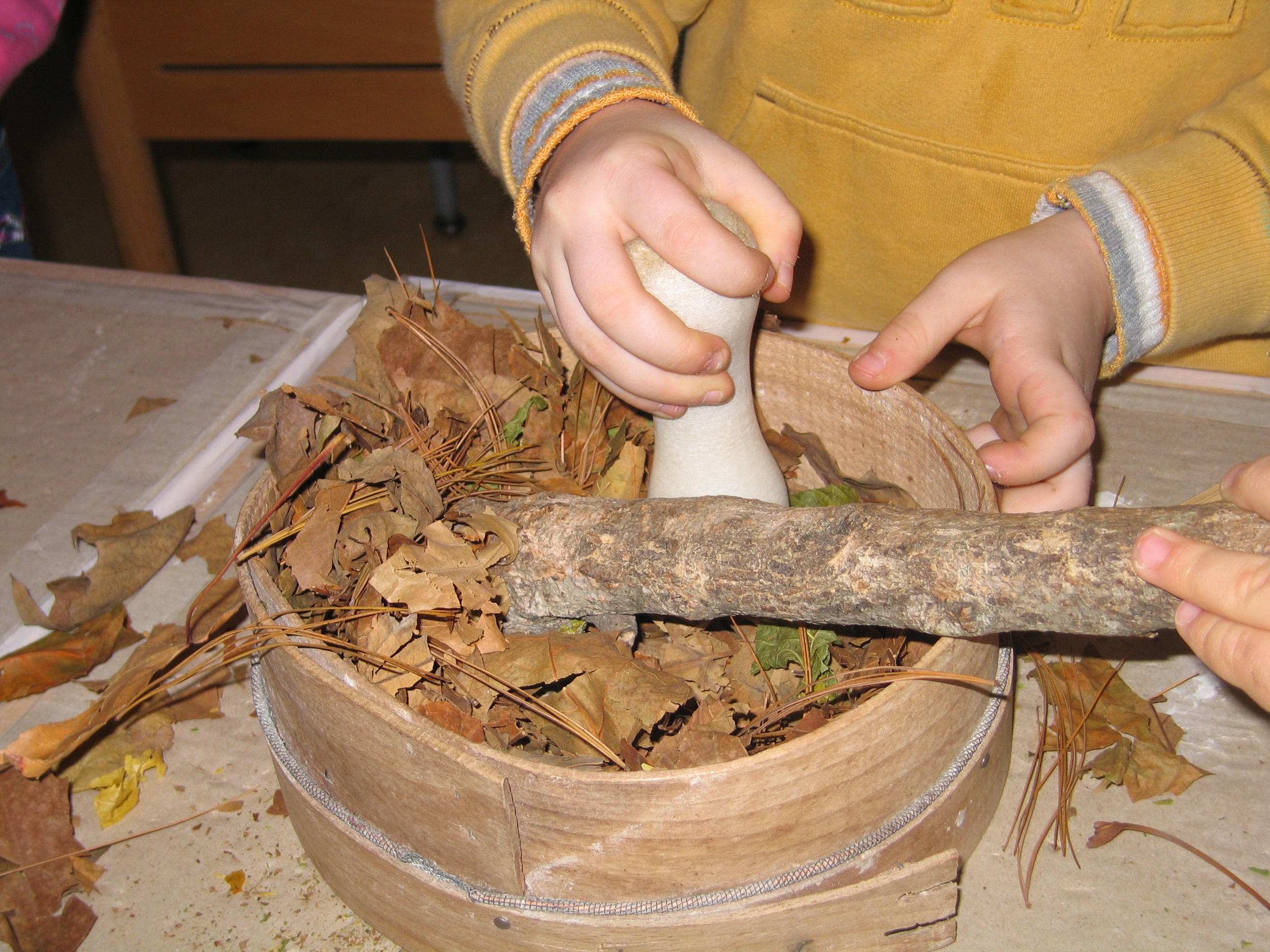 immagine di galleria