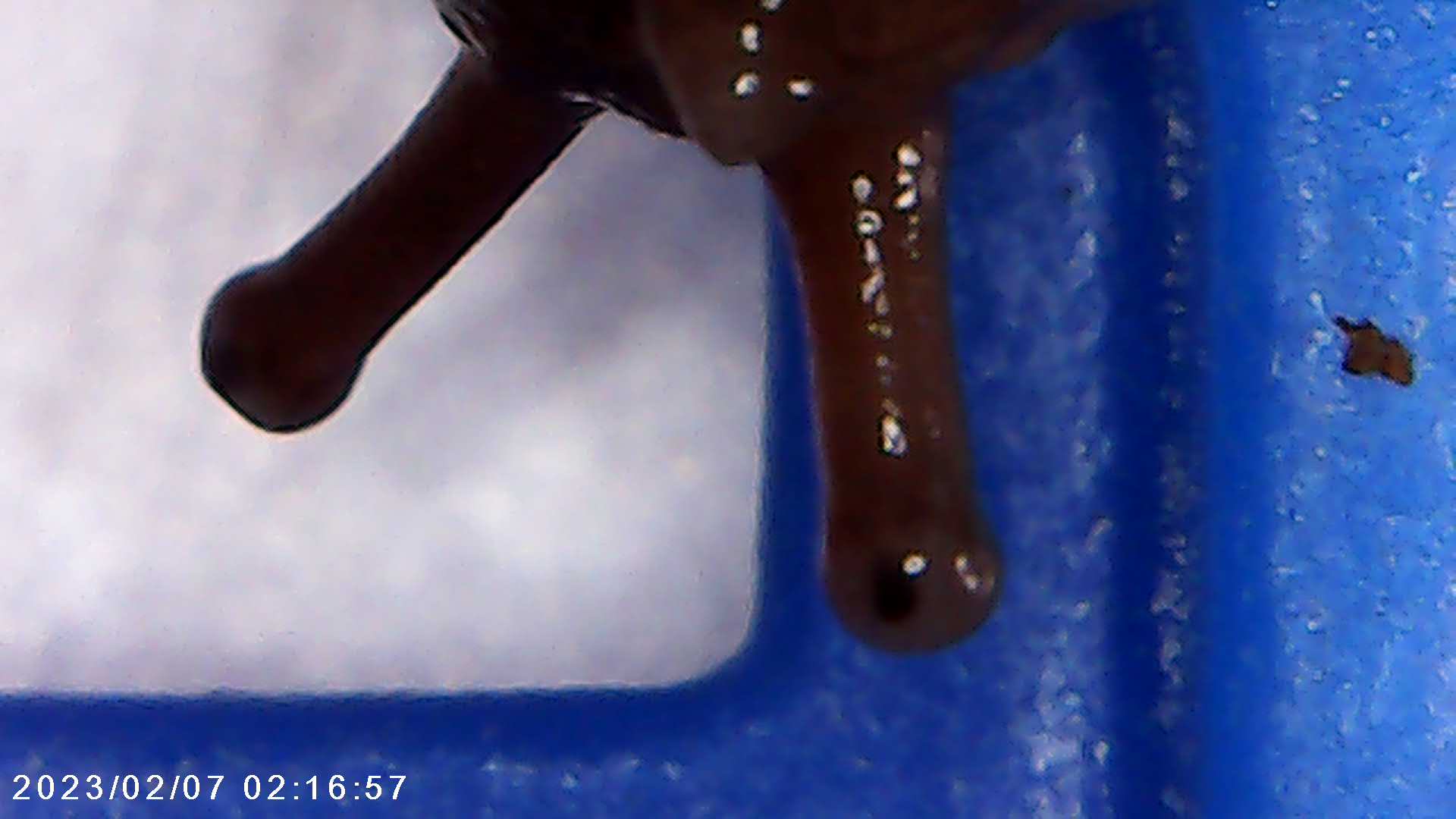 immagine di galleria