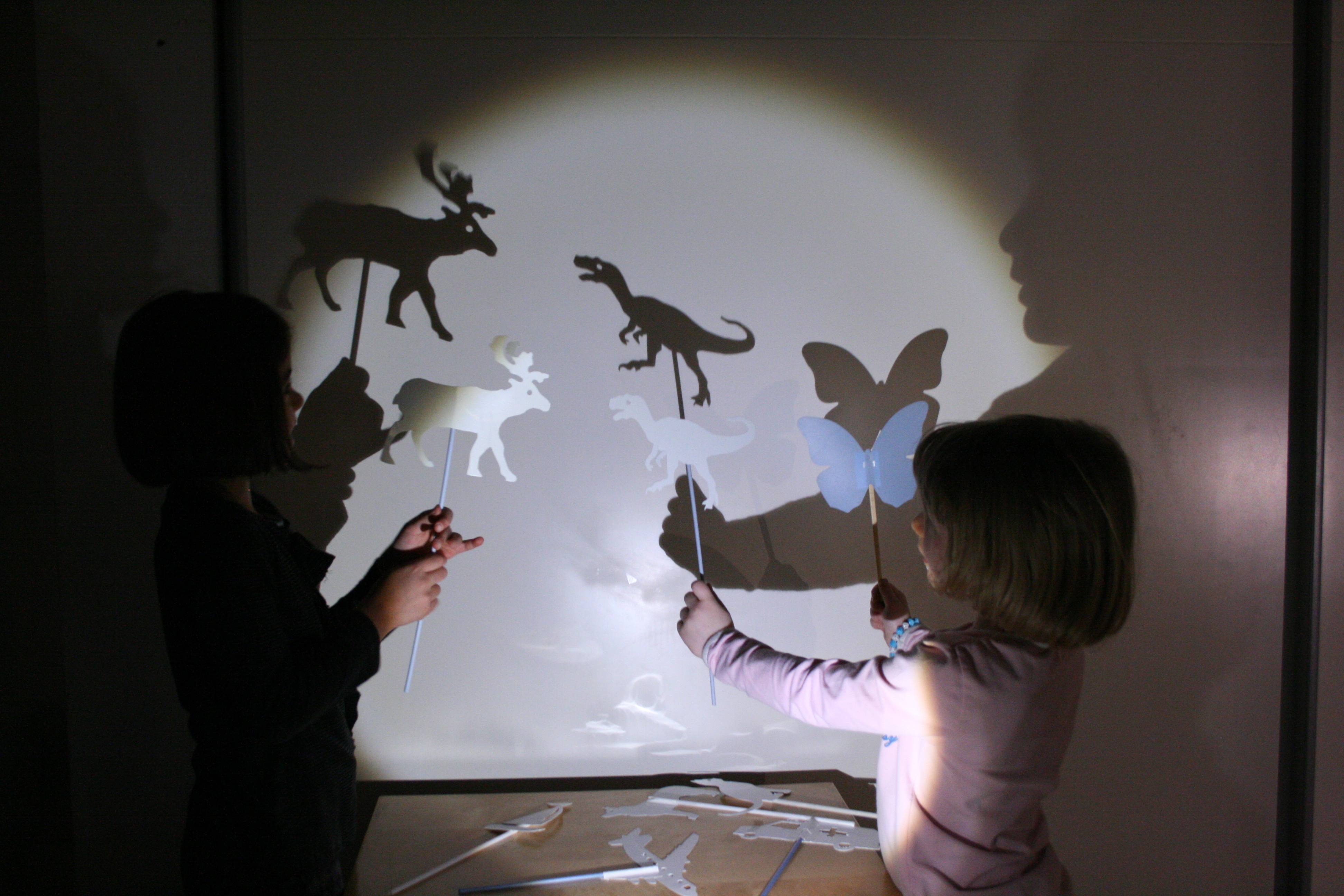 immagine di galleria