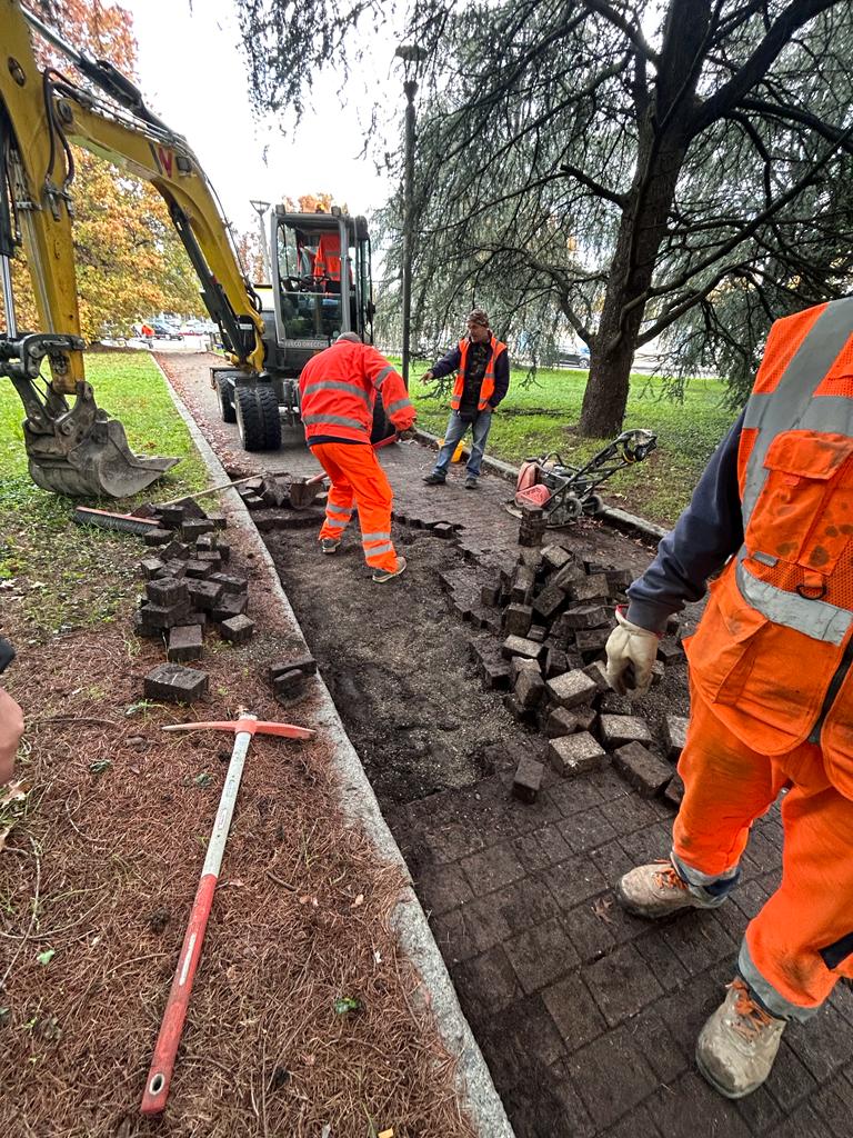 immagine di galleria