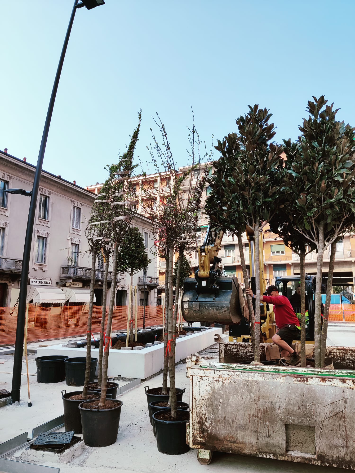 immagine di galleria