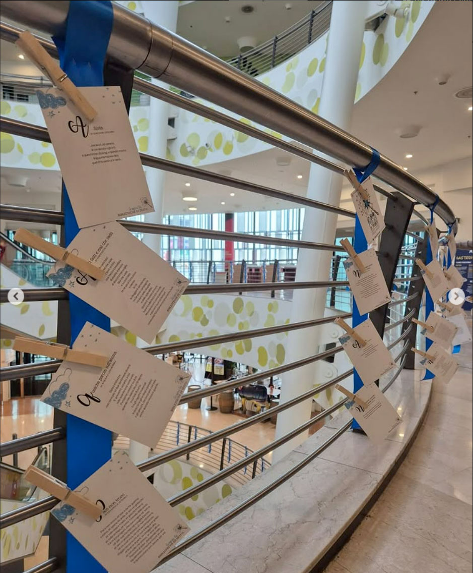 immagine di galleria