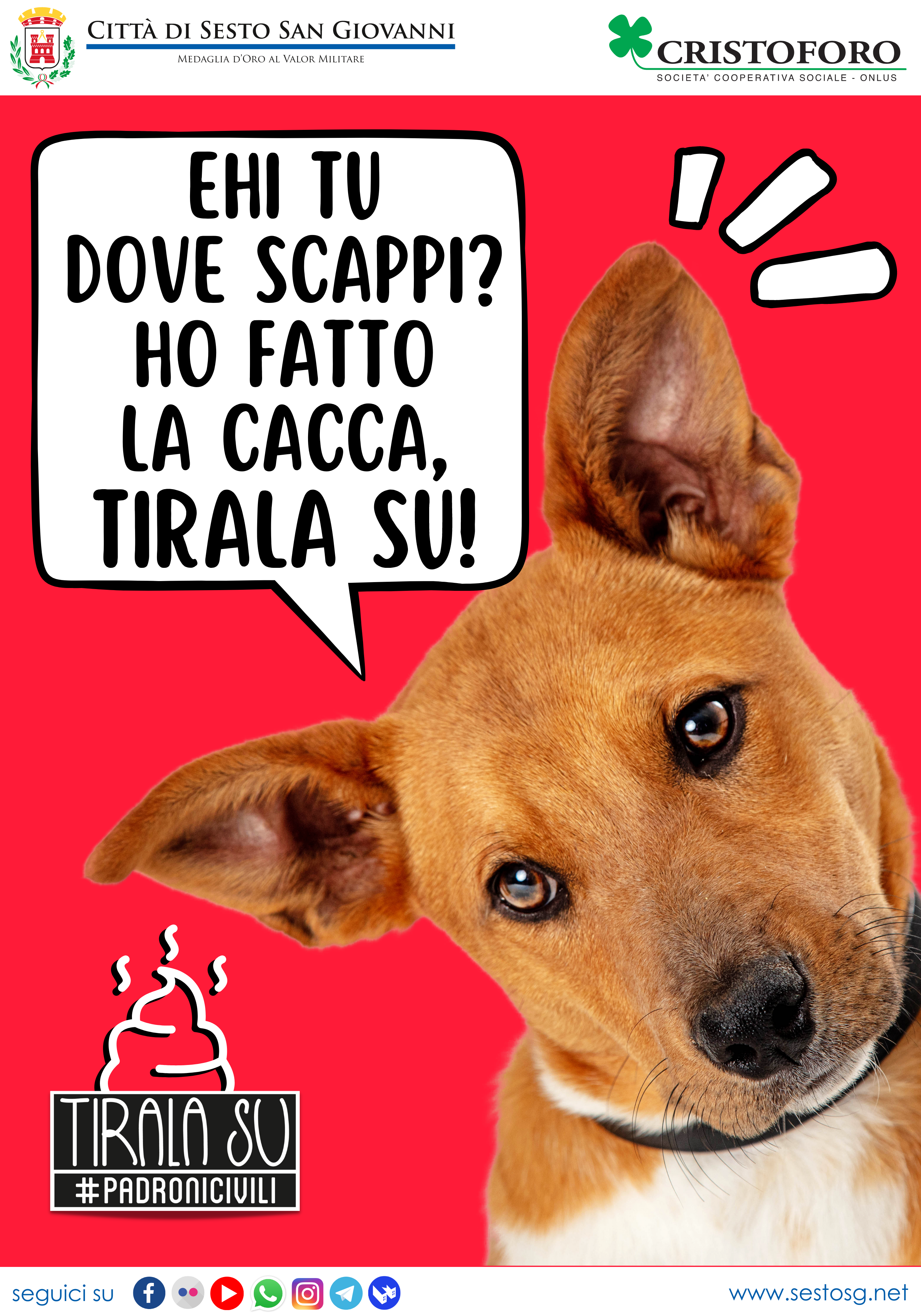 immagine di galleria