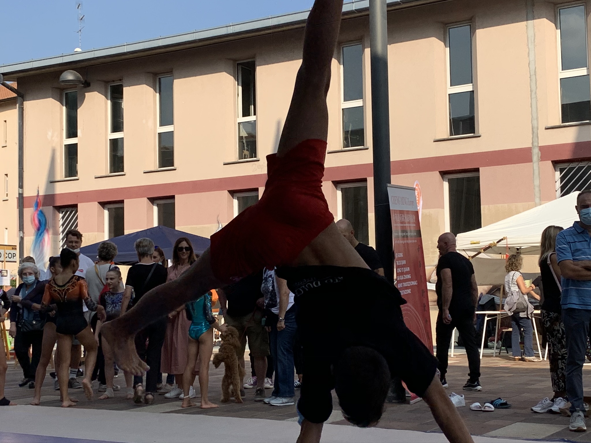 immagine di galleria