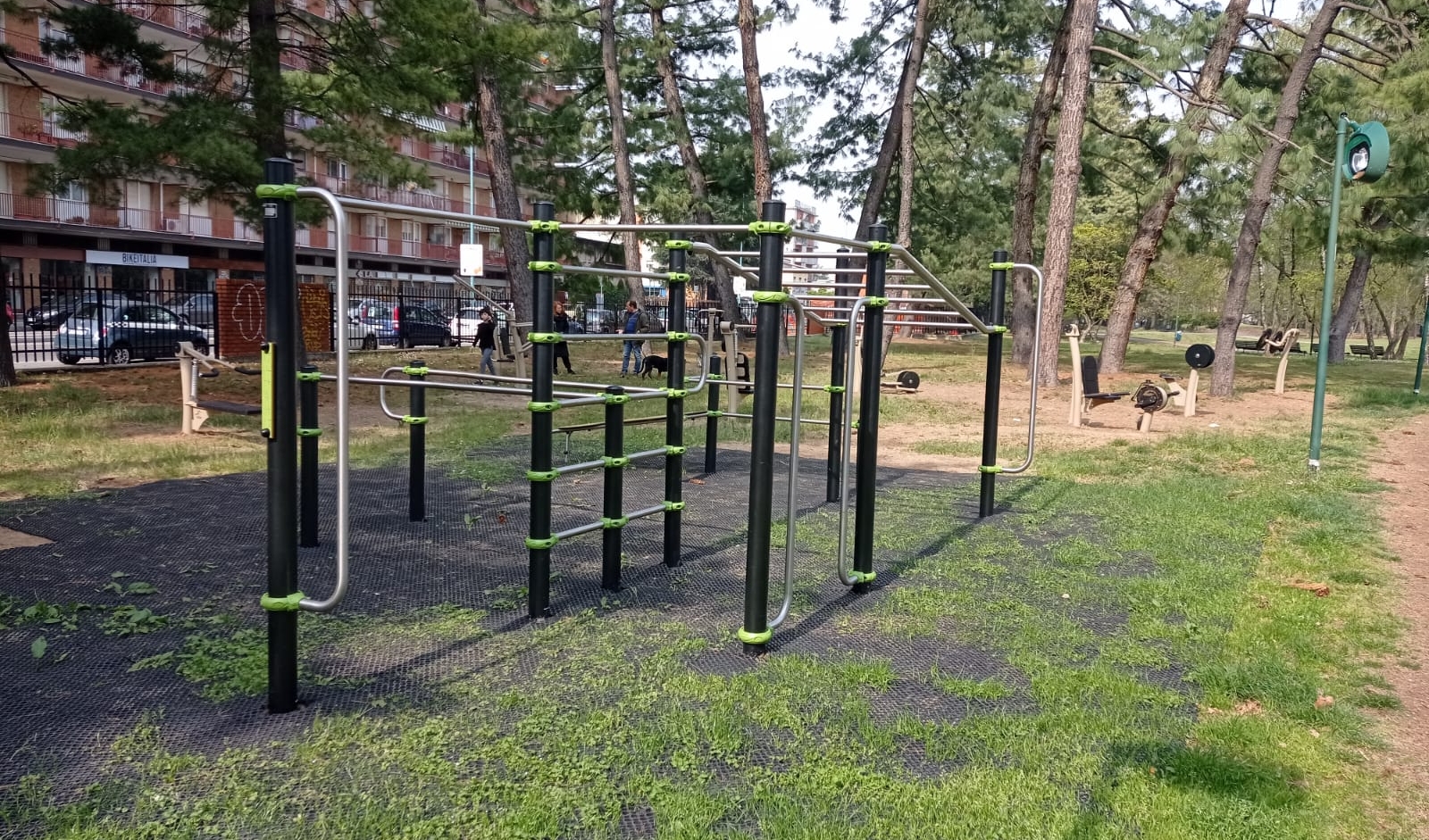 immagine di galleria