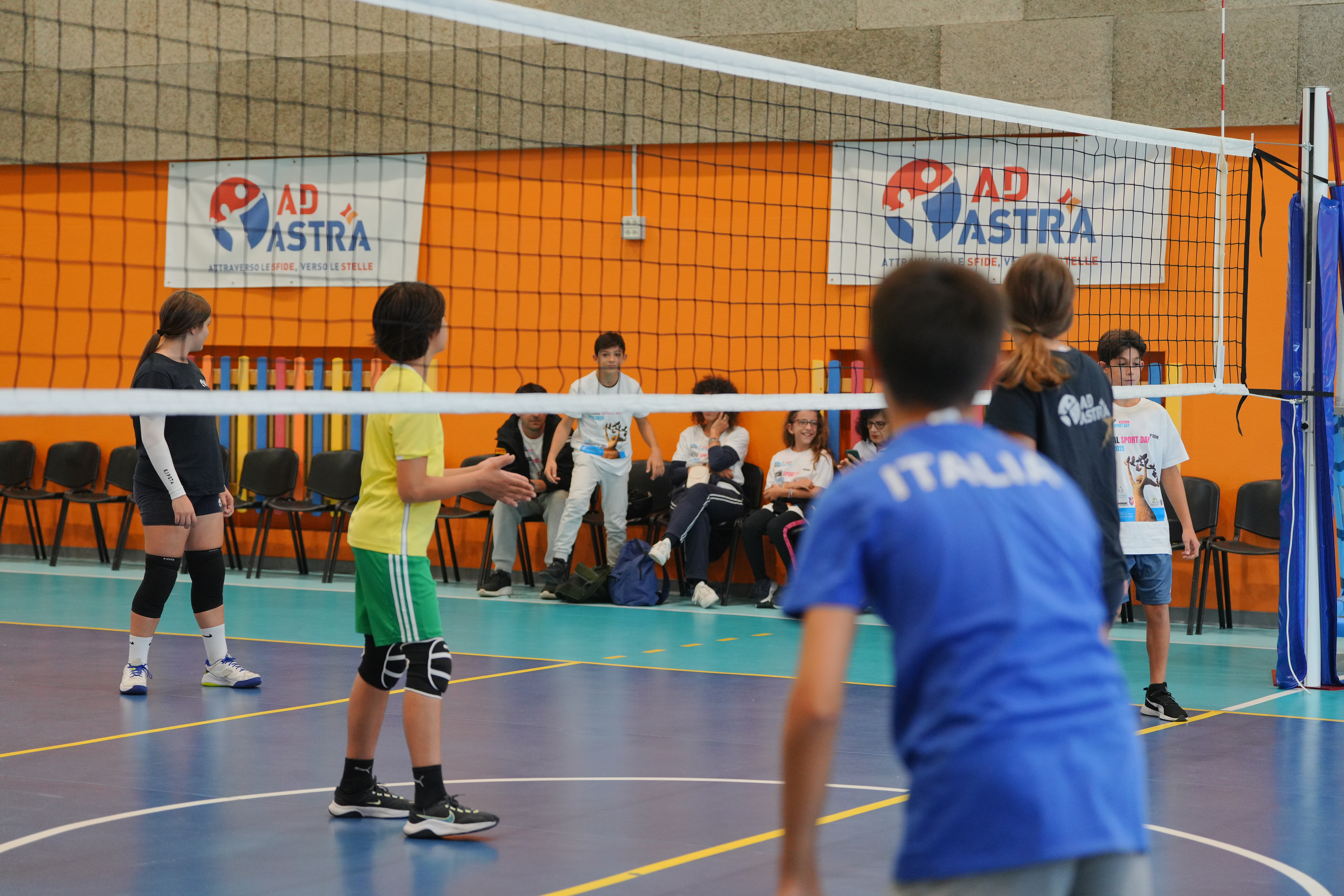 immagine di galleria