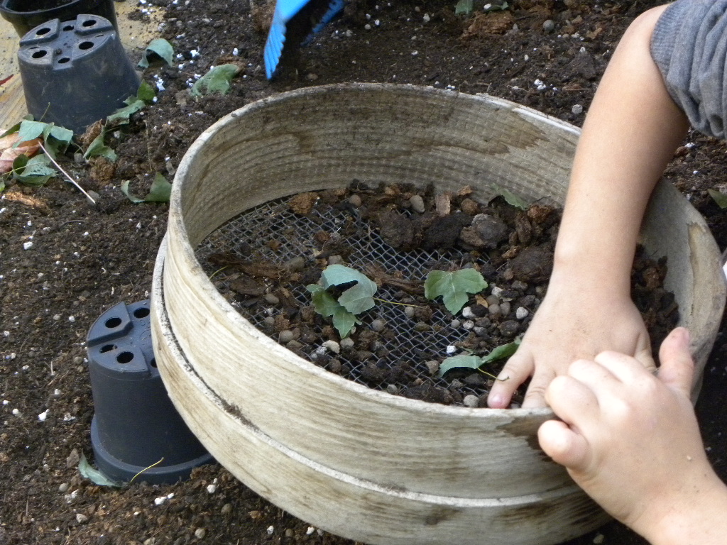 immagine di galleria