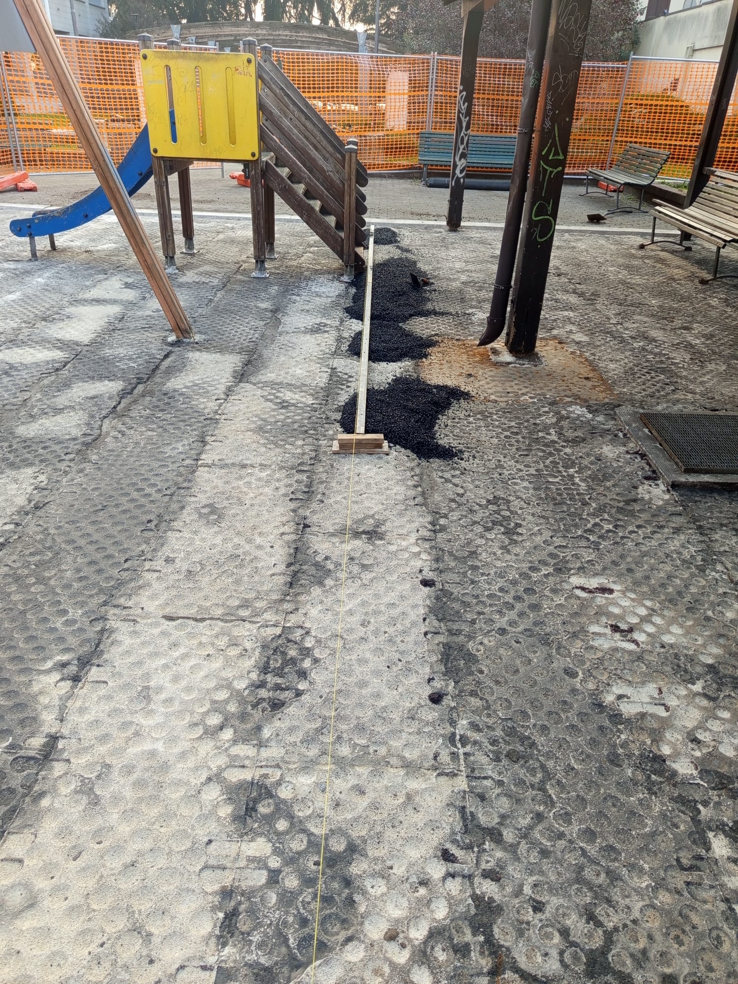 immagine di galleria