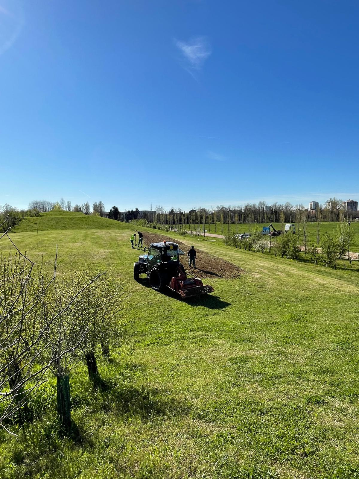 immagine di galleria 'Prato fiorito alla Bergamella'
