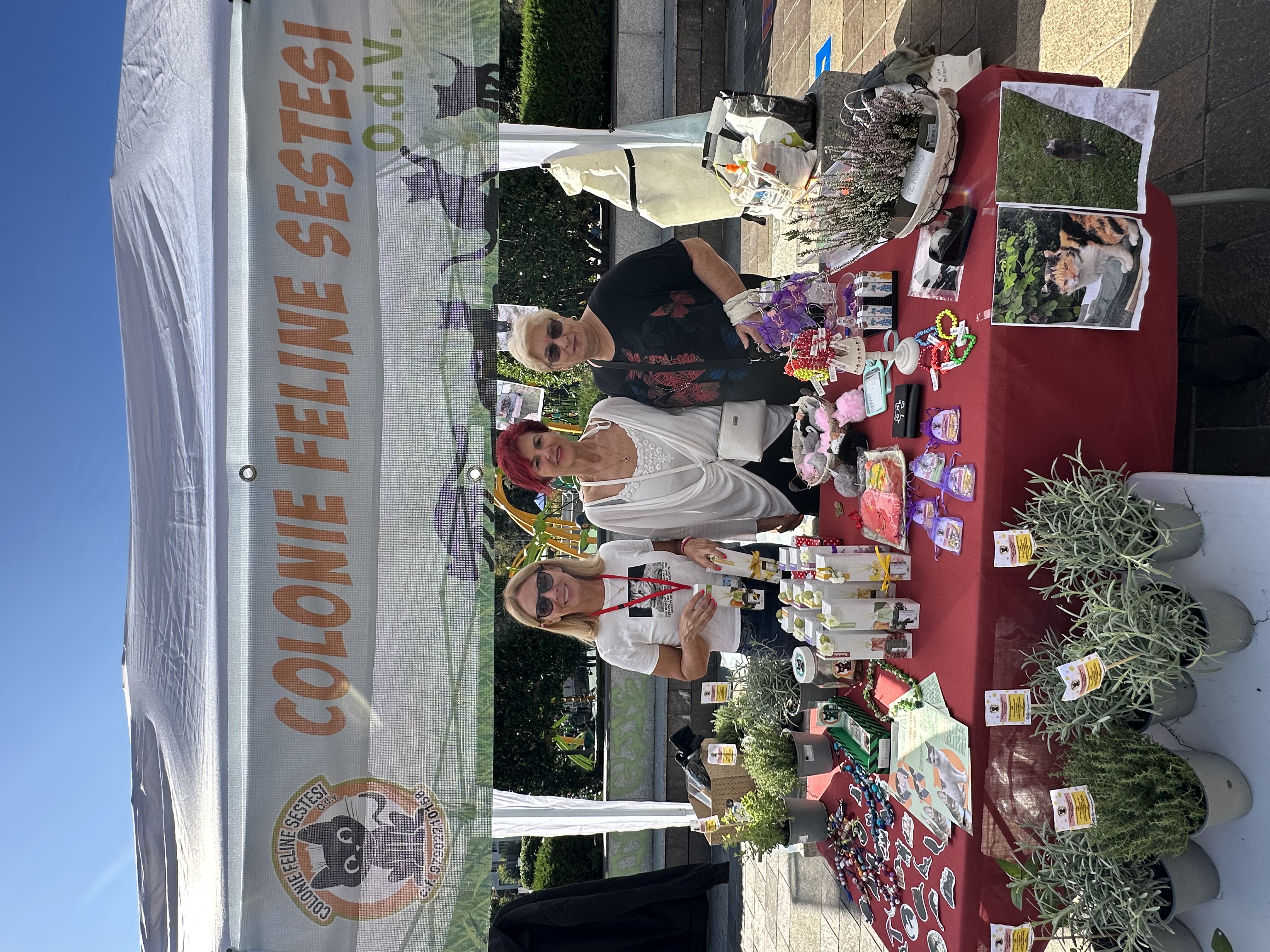 immagine di galleria 'Festa dello Sport, del Volontariato e della Salute 2023'