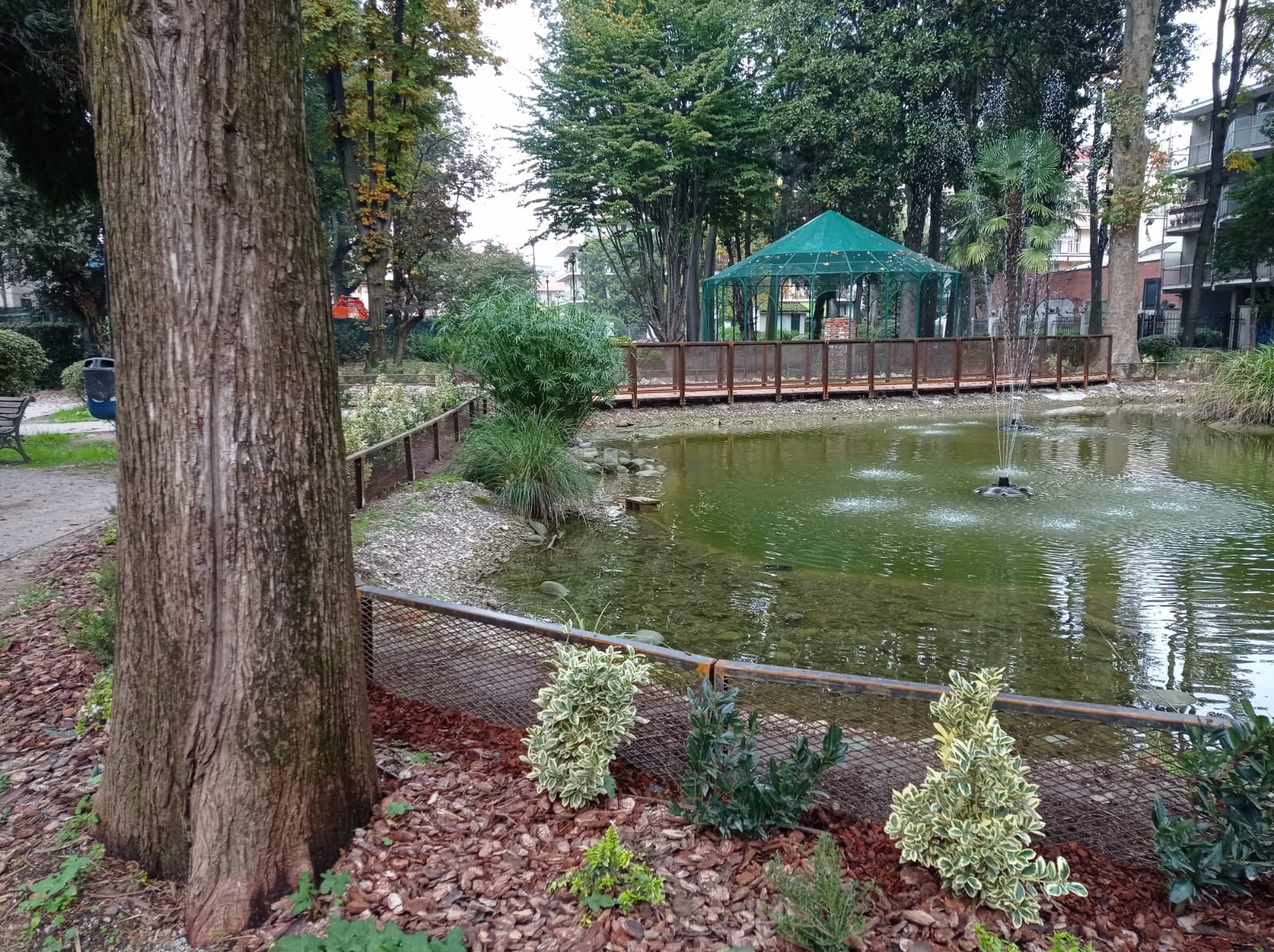 immagine di galleria