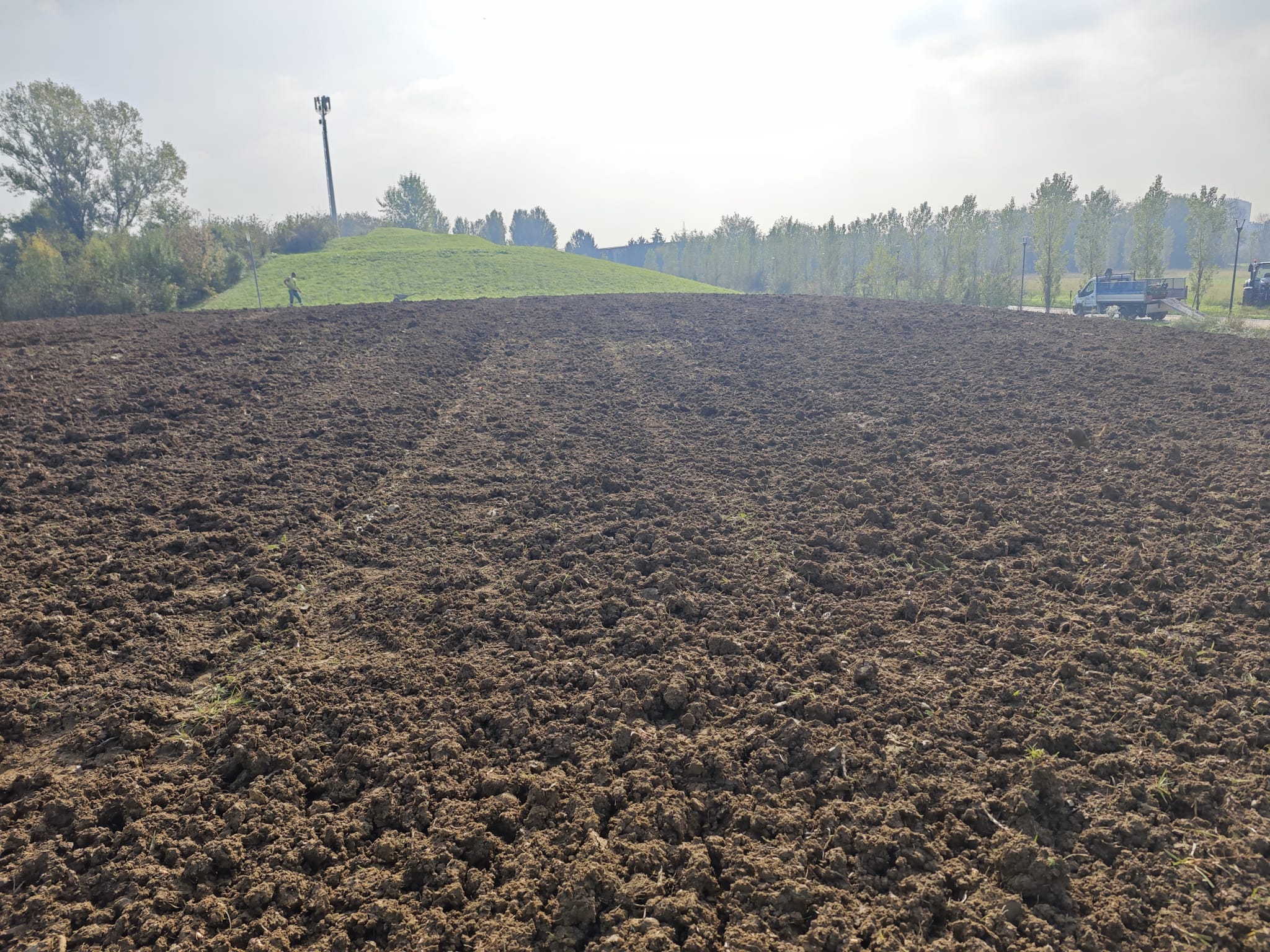 immagine di galleria