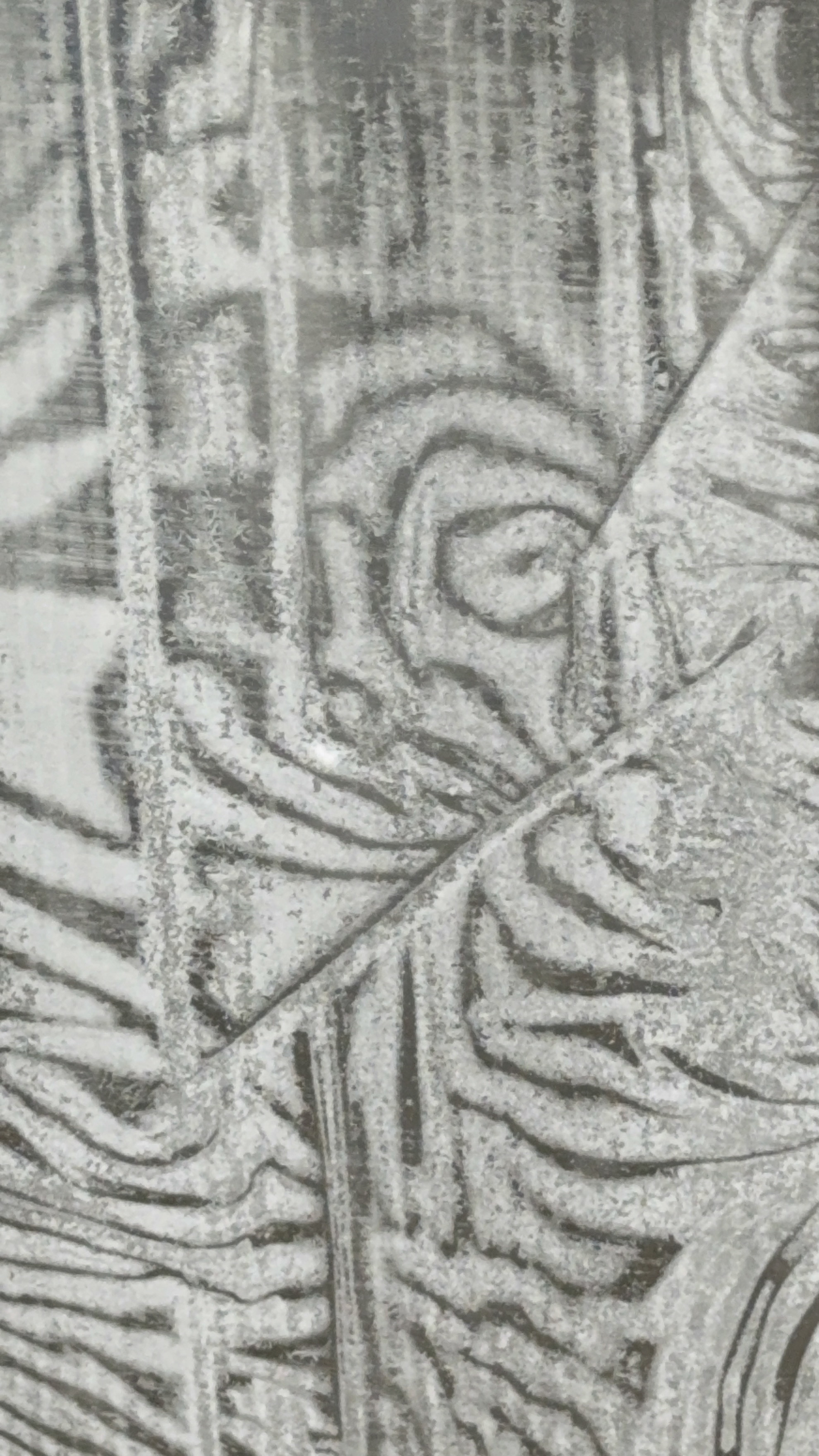 immagine di galleria