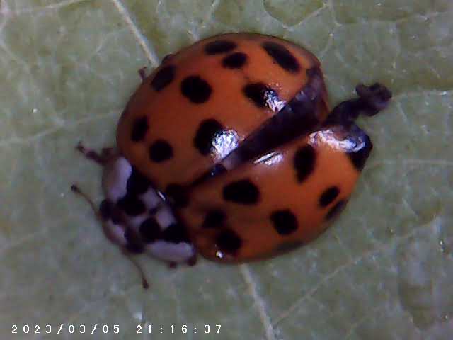 immagine di galleria