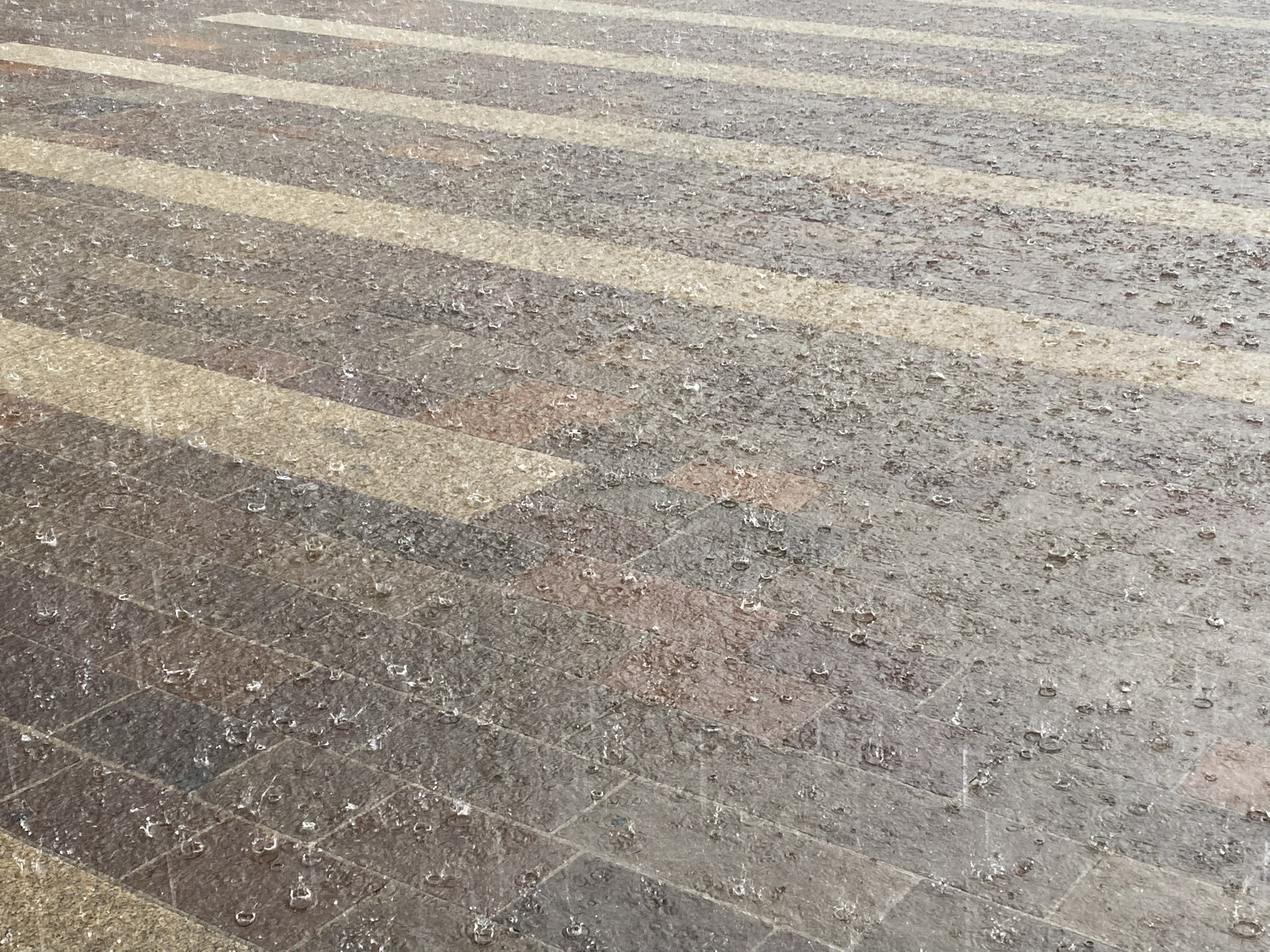 immagine di galleria