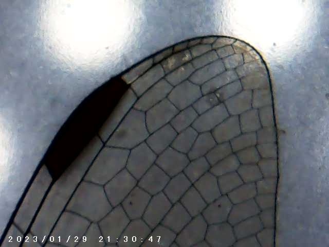 immagine di galleria