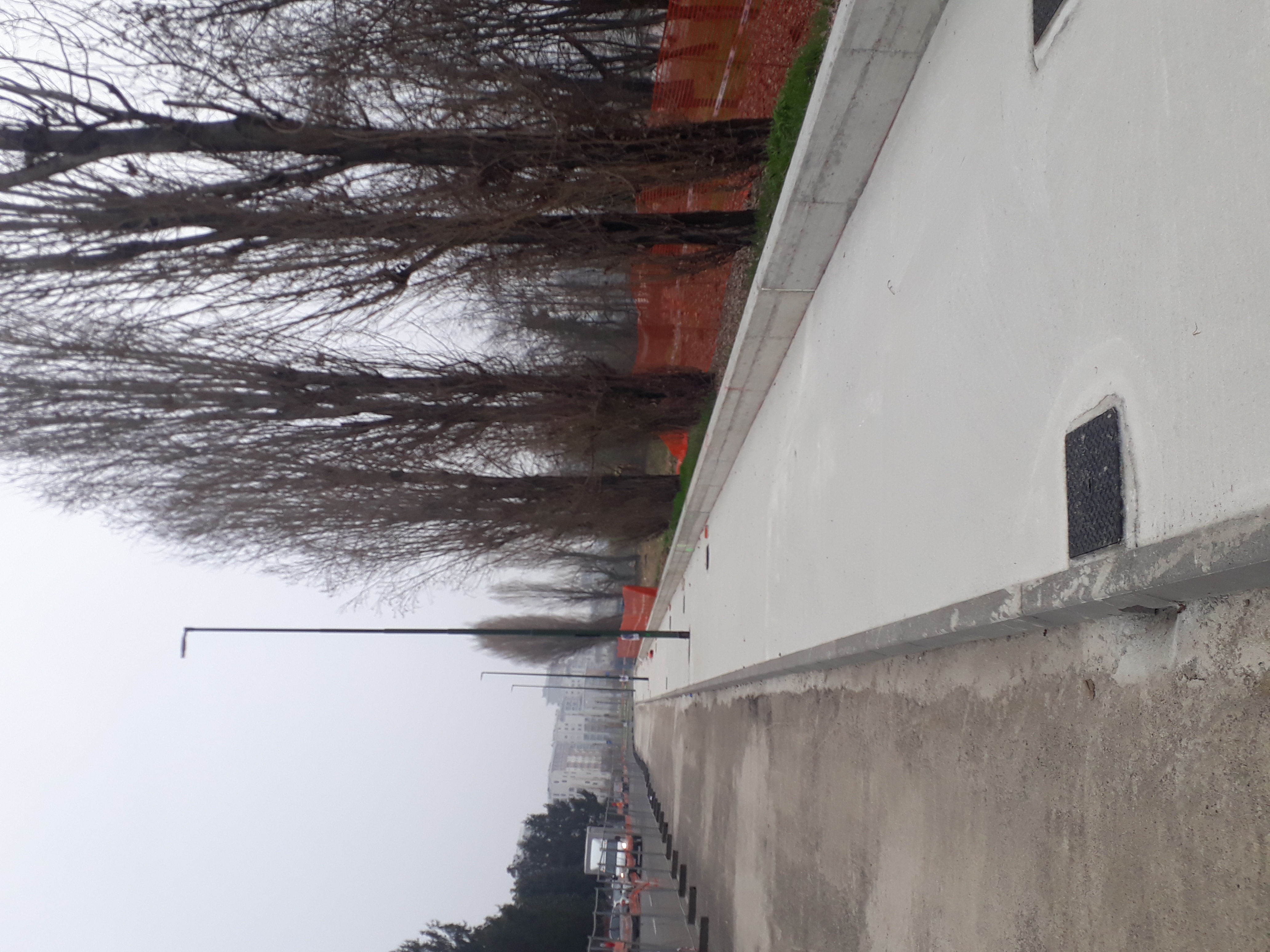 immagine di galleria 'Le reti ciclabili in Città'