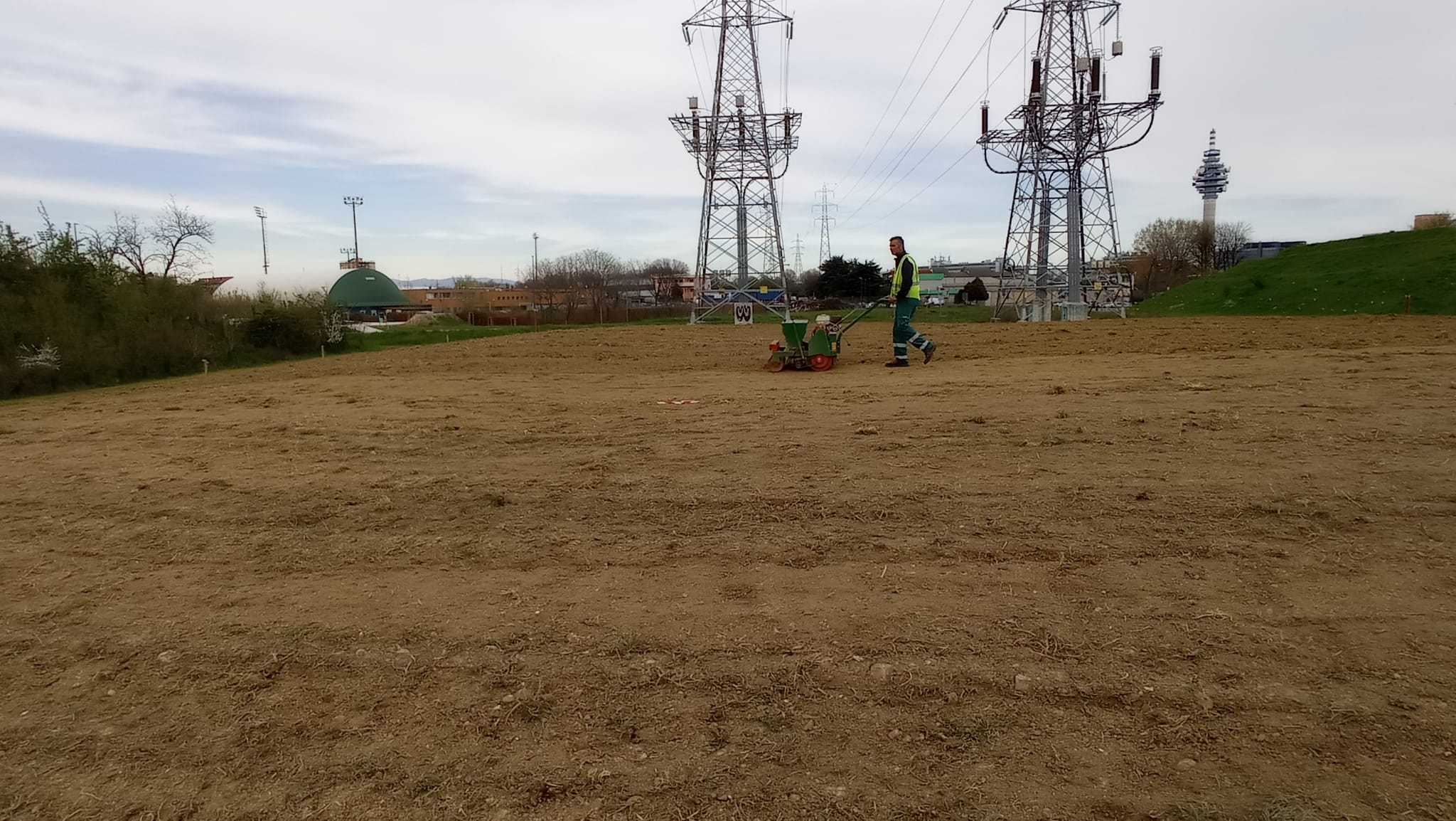 immagine di galleria 'Prato fiorito alla Bergamella'