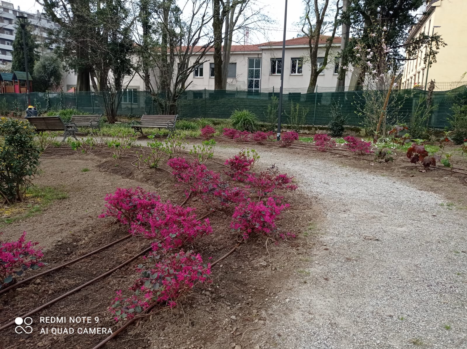 immagine di galleria