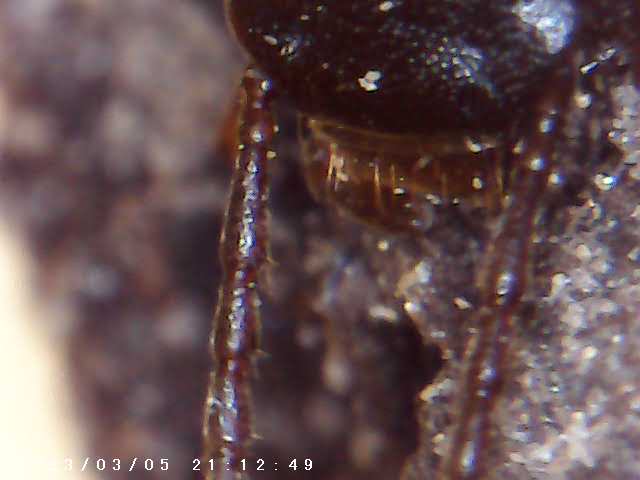 immagine di galleria