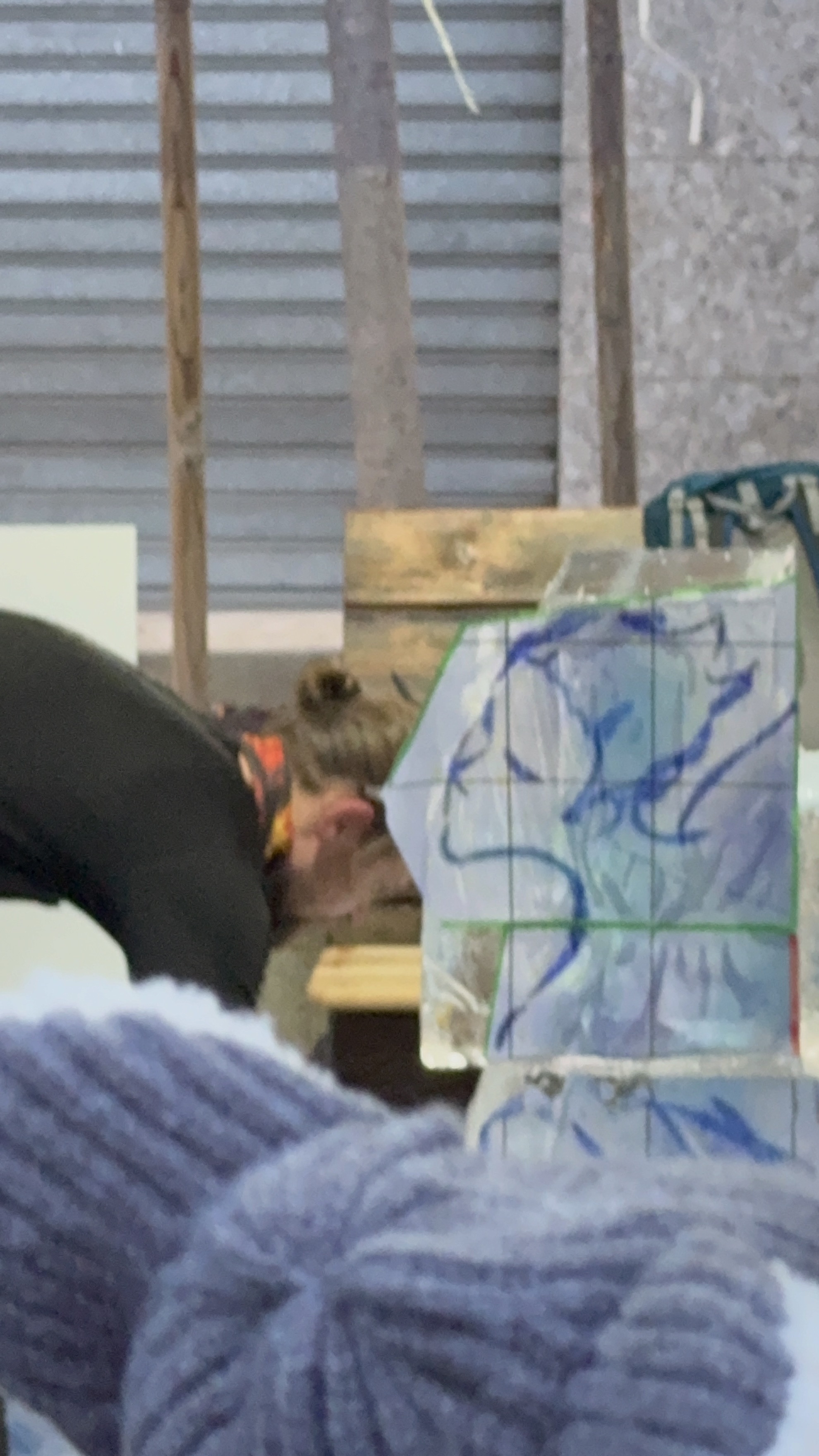 immagine di galleria