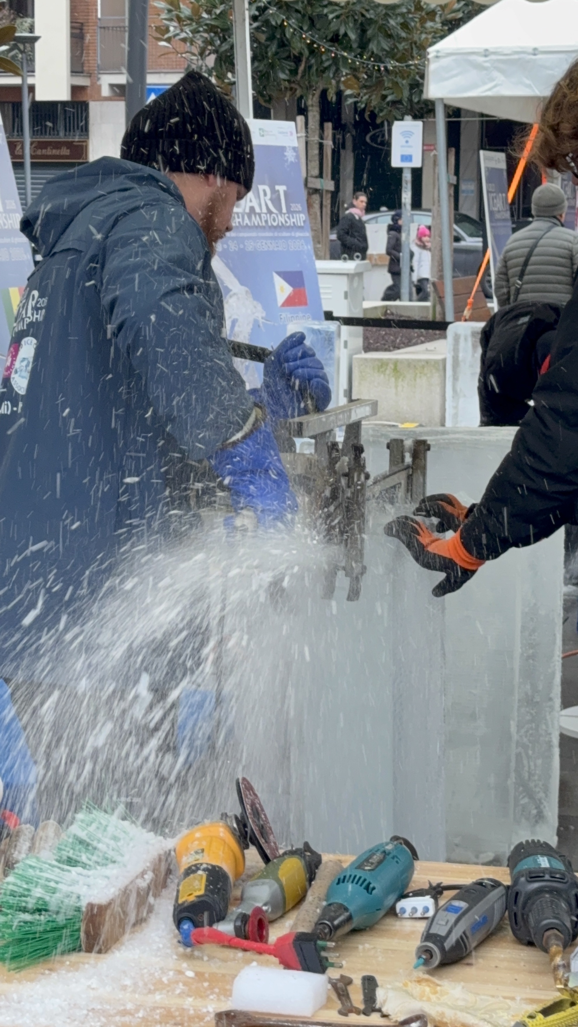 immagine di galleria