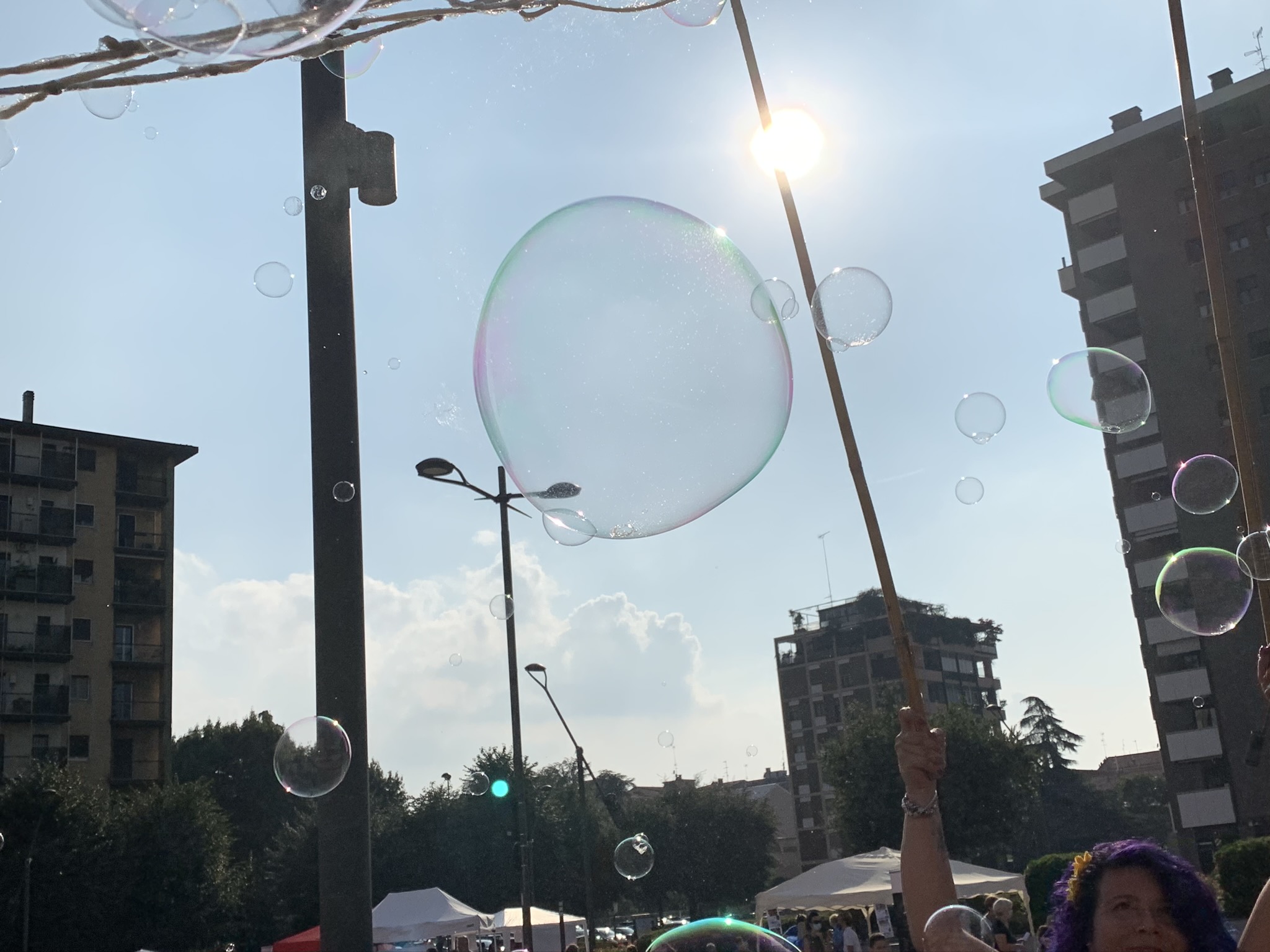 immagine di galleria