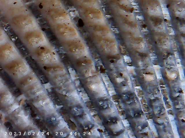 immagine di galleria