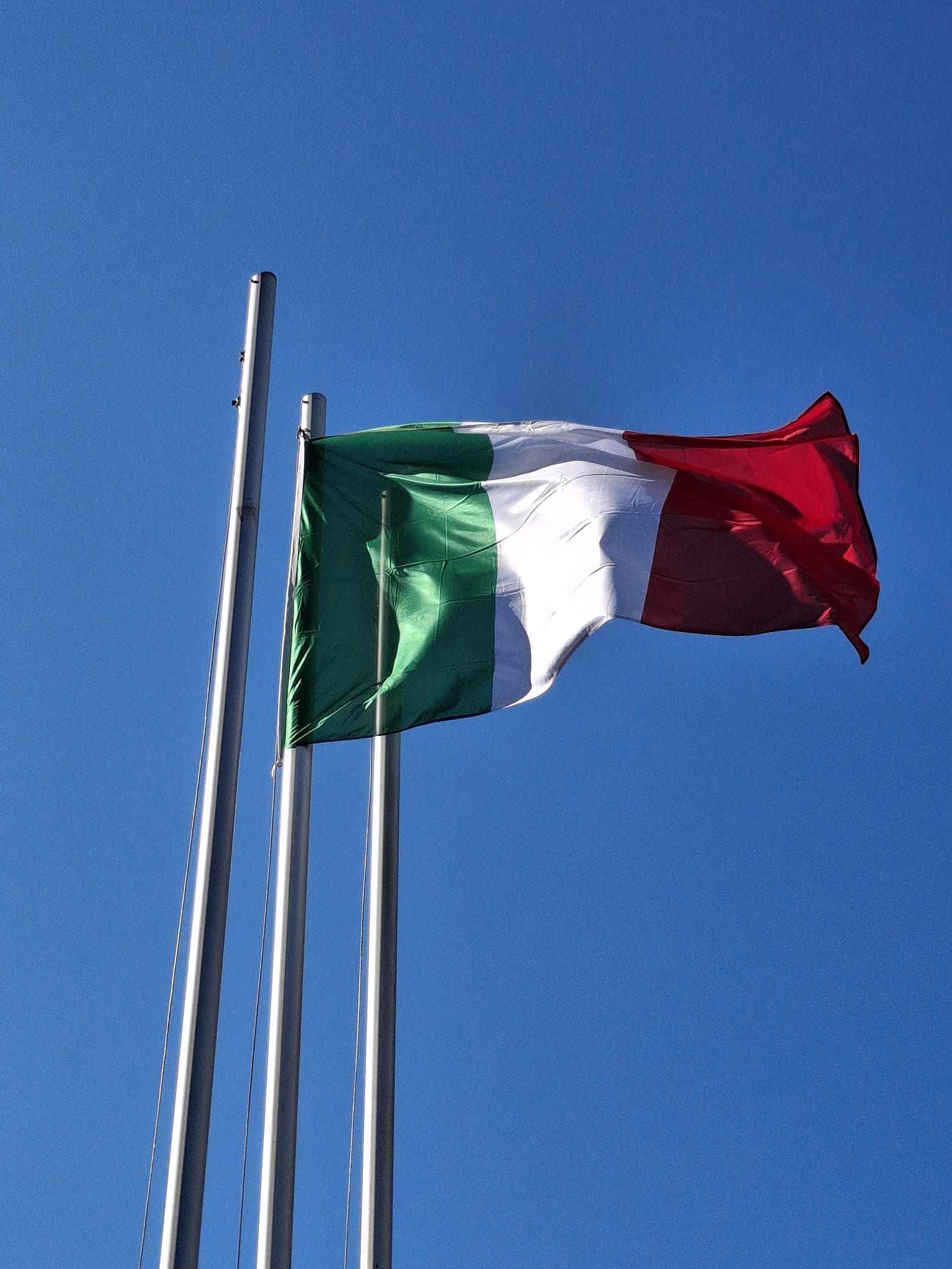 immagine di galleria