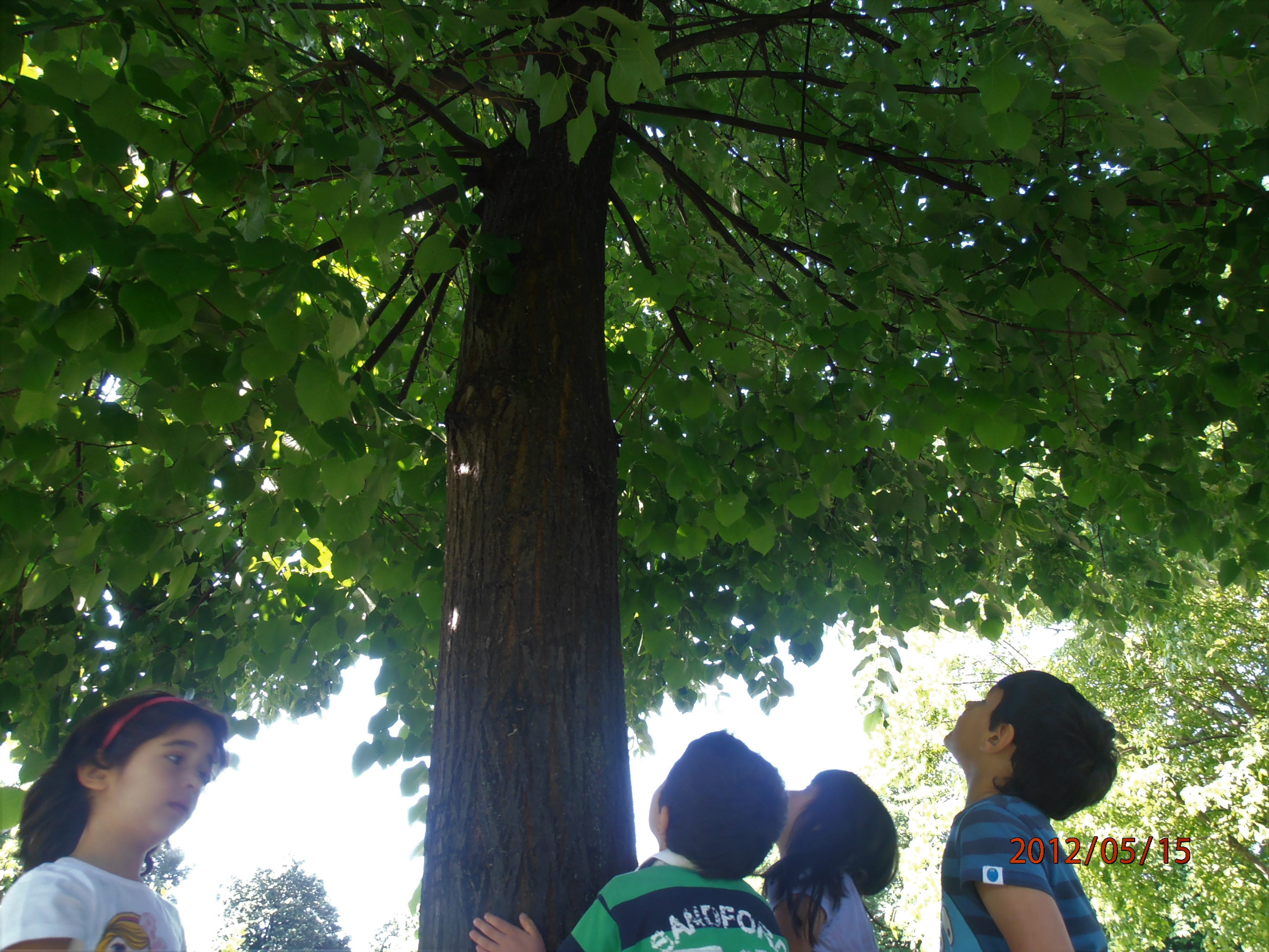 immagine di galleria