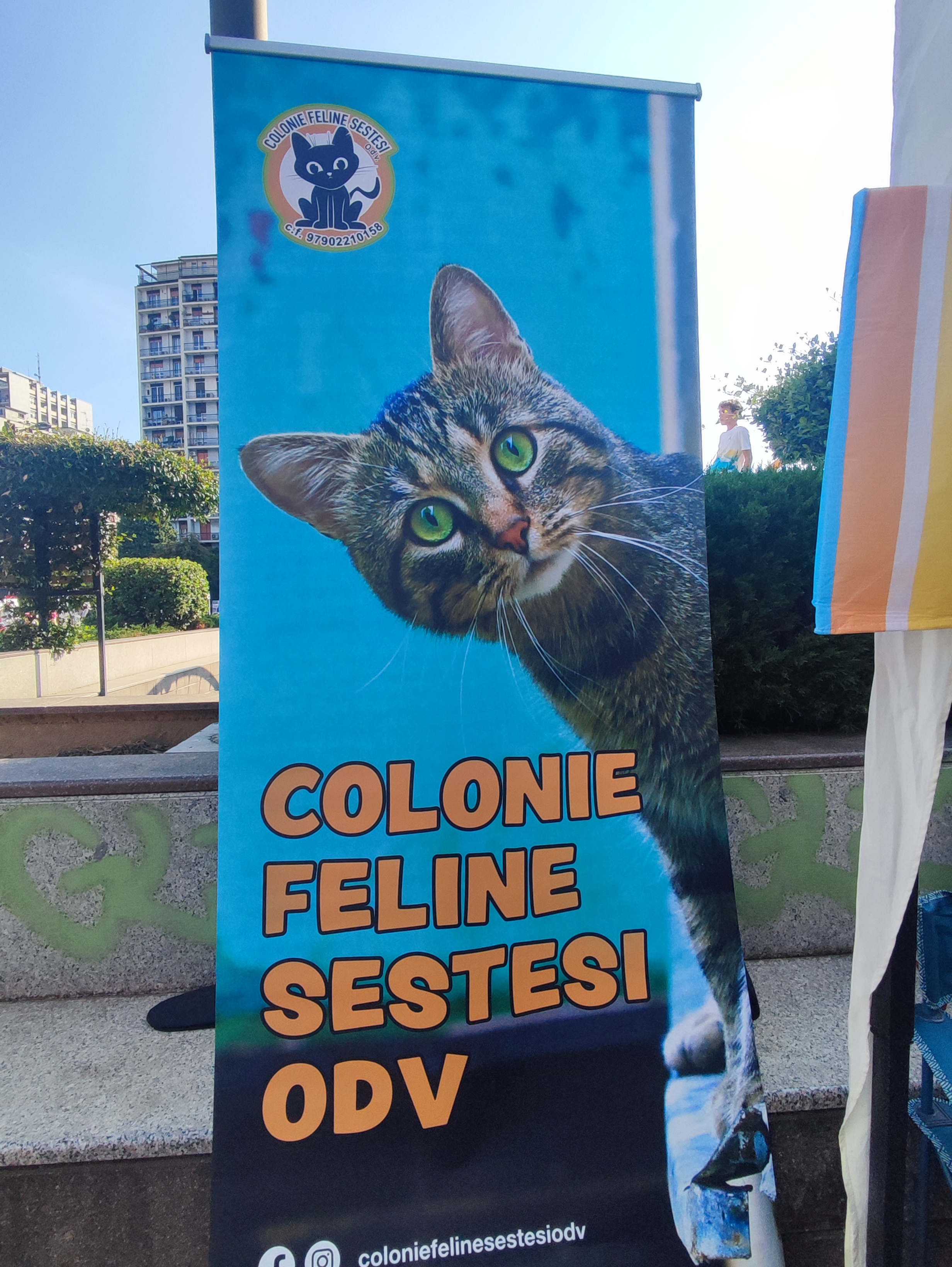 immagine di galleria