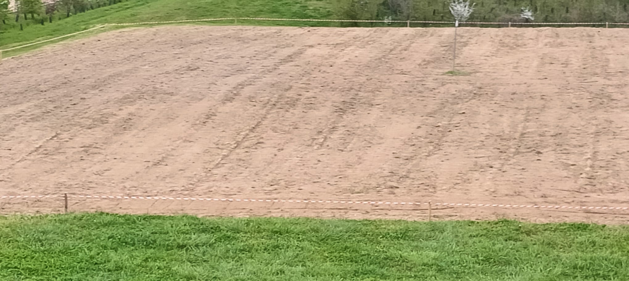 immagine di galleria 'Prato fiorito alla Bergamella'