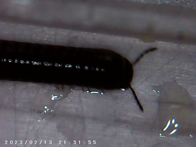 immagine di galleria