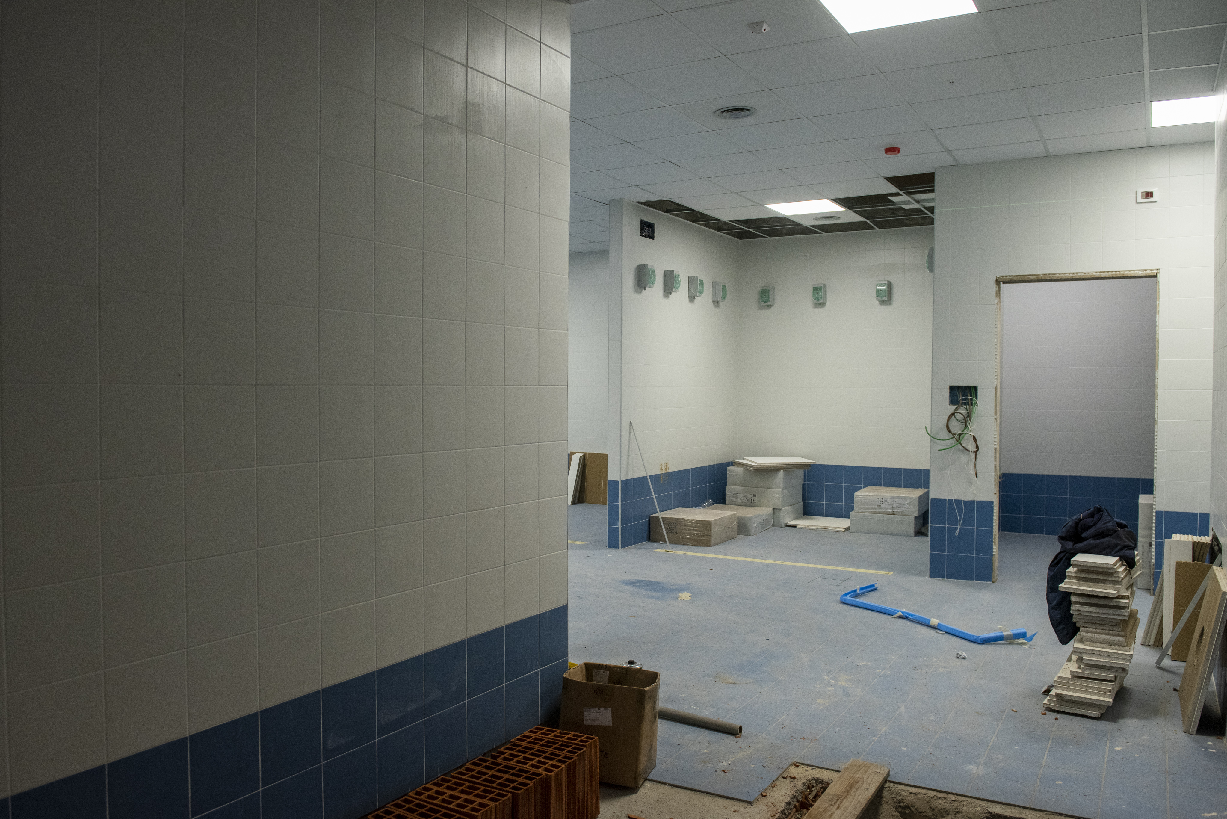 immagine di galleria