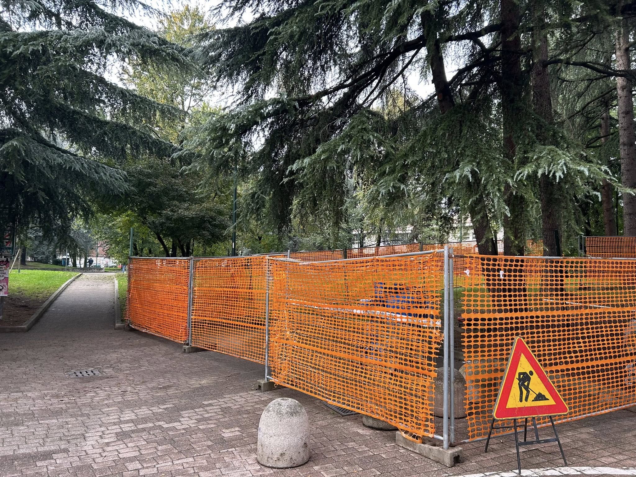 immagine di galleria