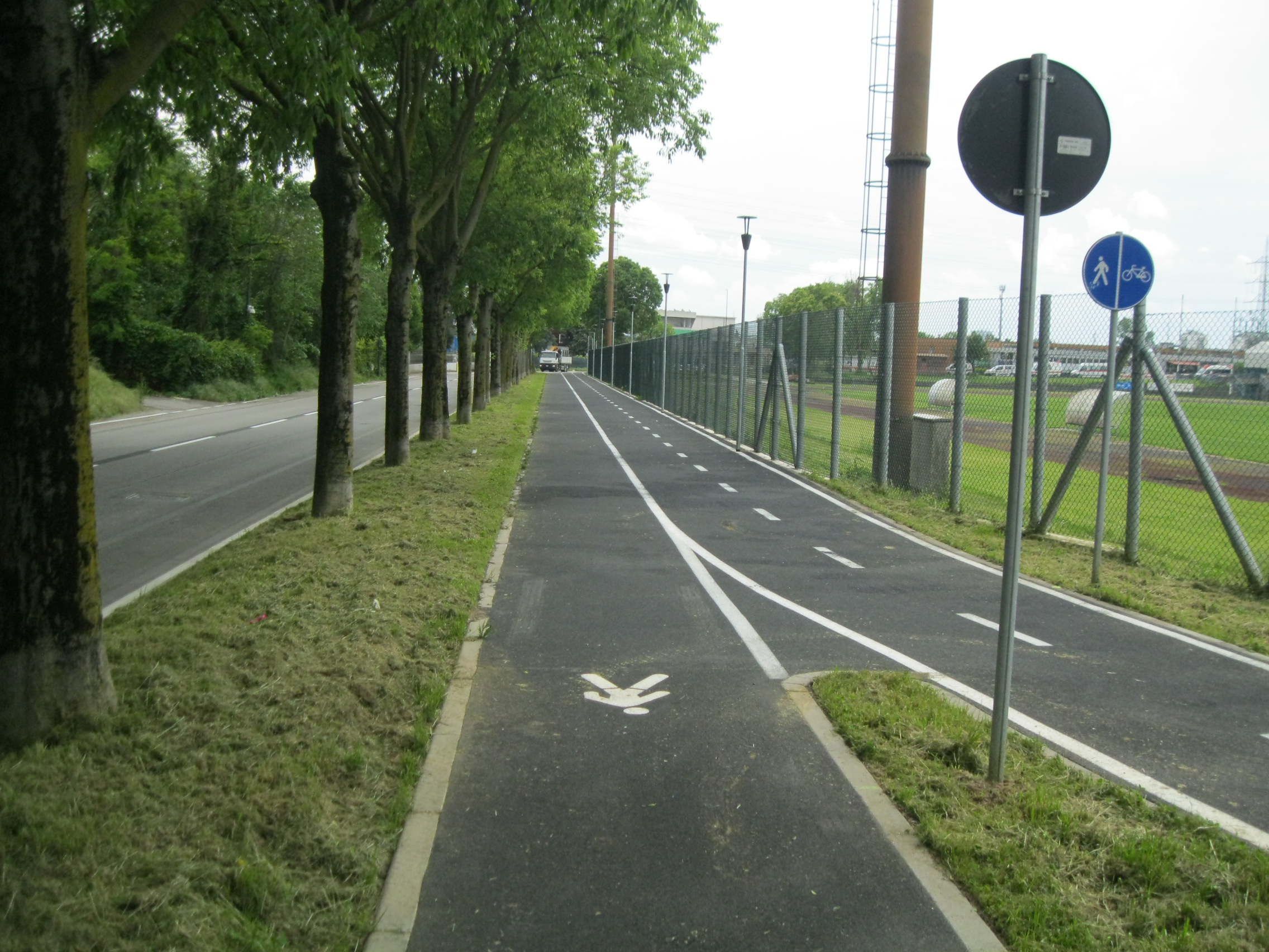 immagine di galleria 'Bicipolitana: la rete ciclabile in Città'